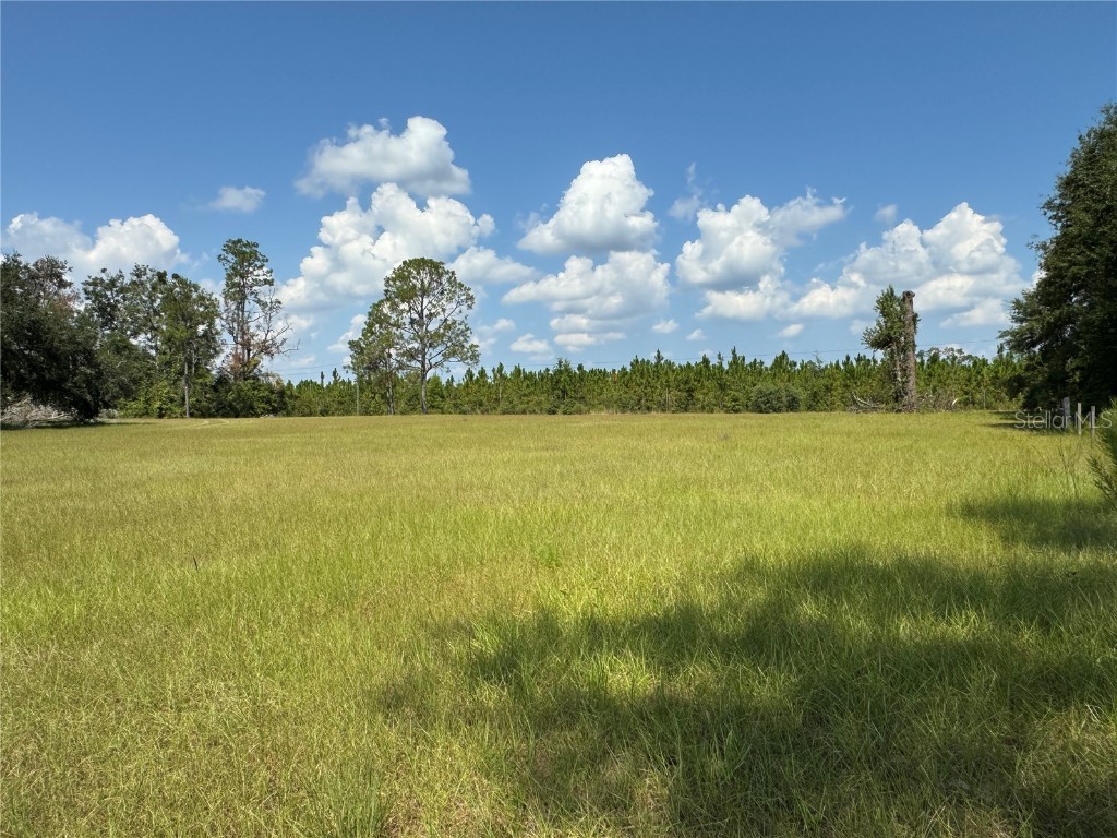 6001 185th Road Live Oak FL 32060 L4956223 image68