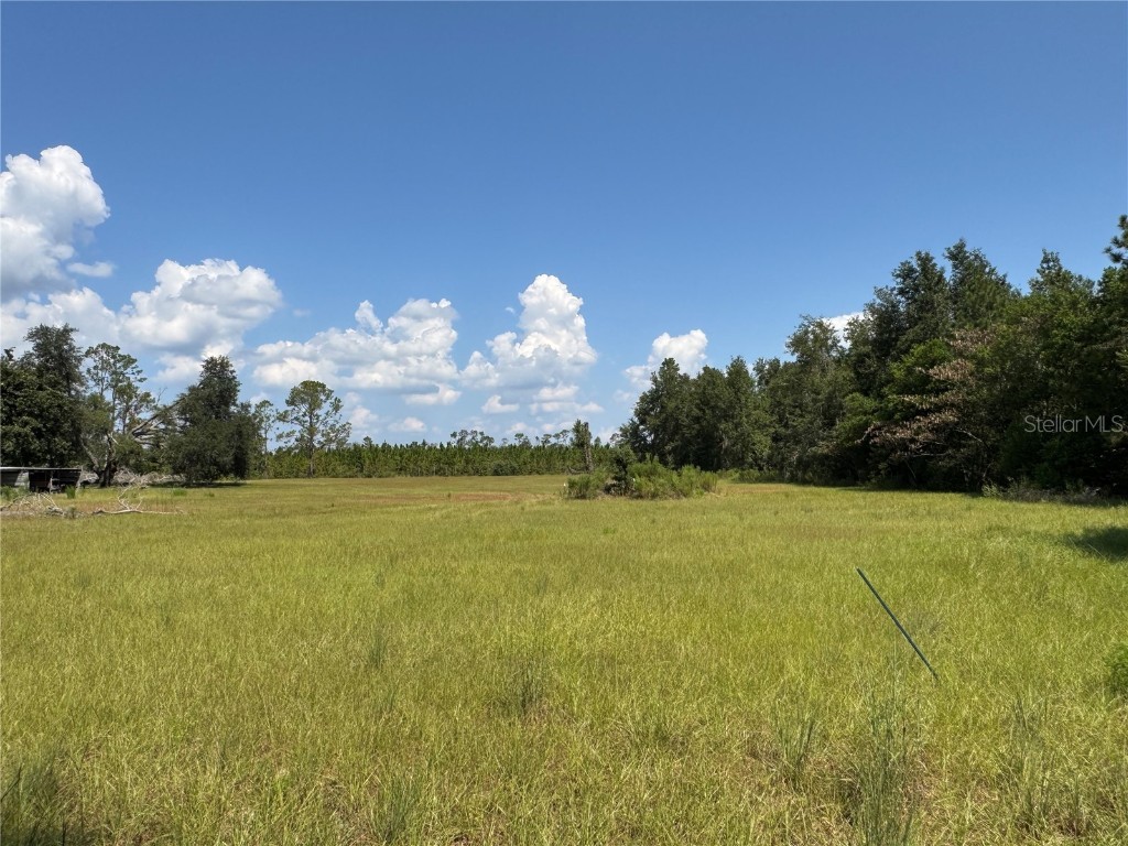 6001 185th Road Live Oak FL 32060 L4956223 image70
