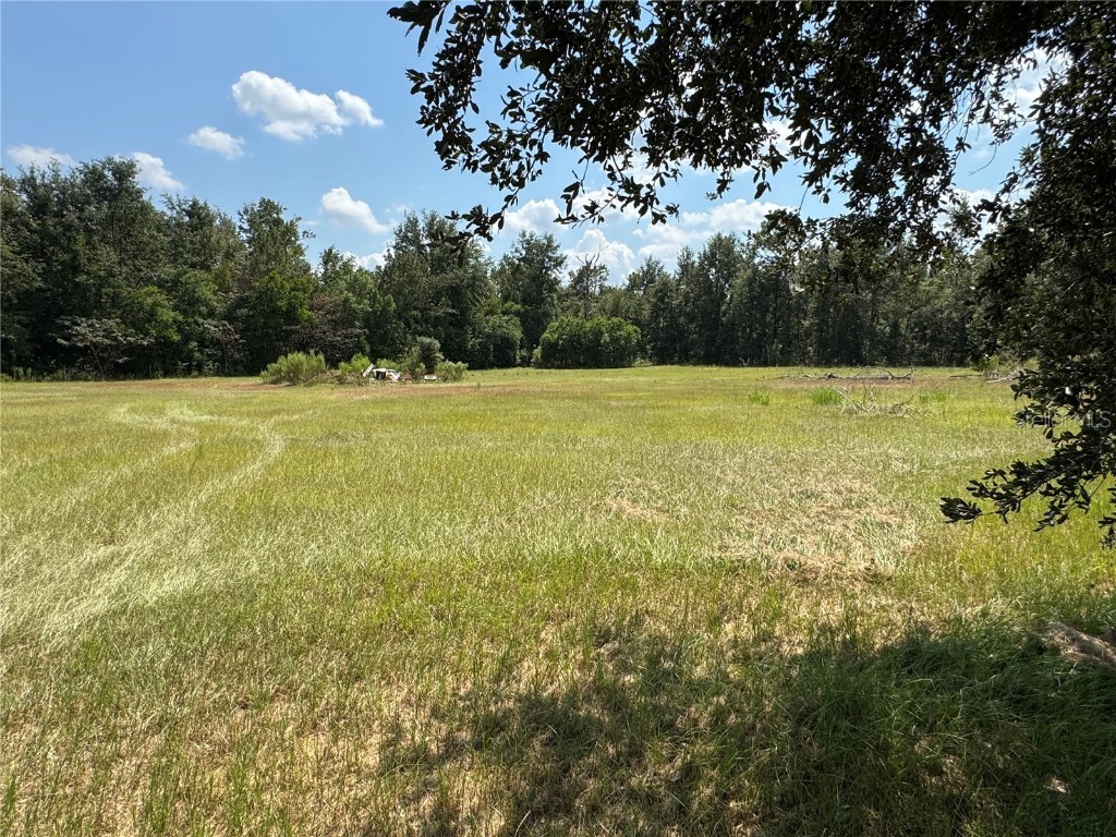 6001 185th Road Live Oak FL 32060 L4956223 image75