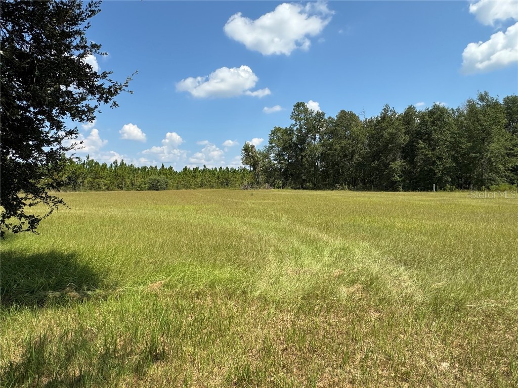 6001 185th Road Live Oak FL 32060 L4956223 image77