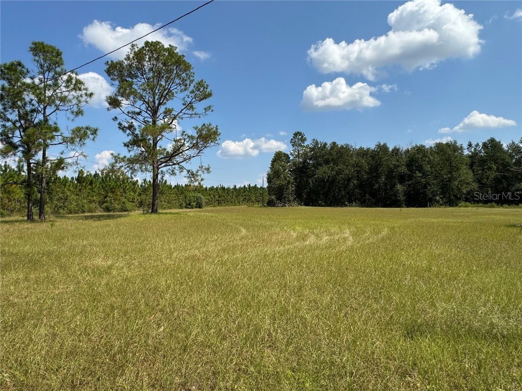 6001 185th Road Live Oak FL 32060 L4956223 image78