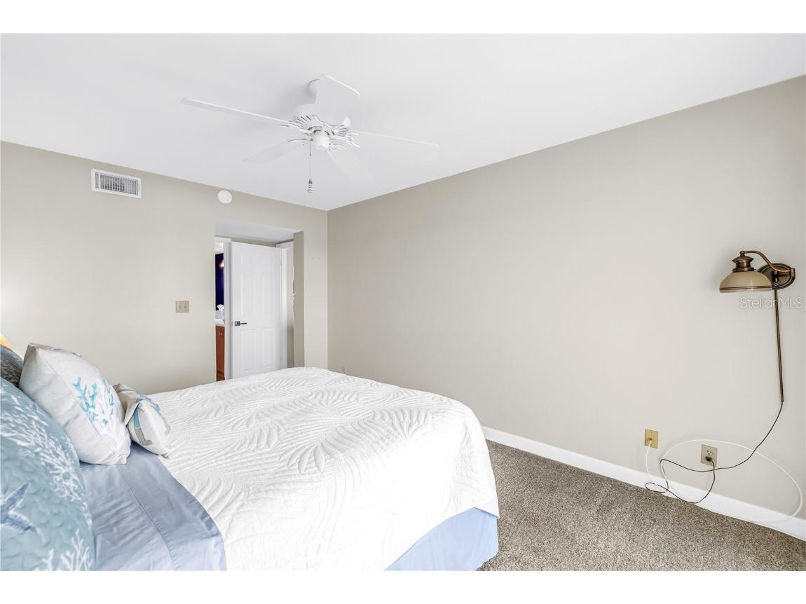 6001 Bahia Del Mar Circle #328 Saint Petersburg FL 33715 - PASS A GRILLE CHANNEL TB8453182 image27