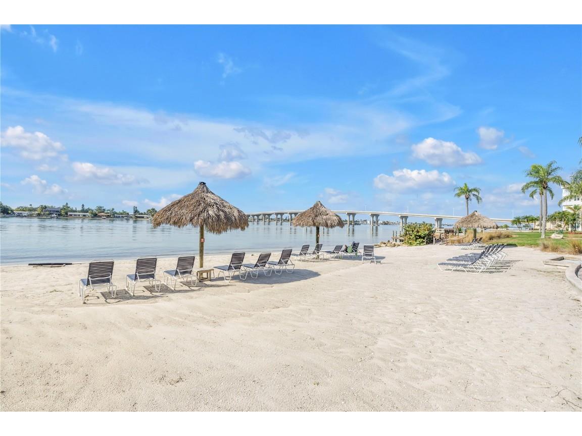 6001 Bahia Del Mar Circle #328 Saint Petersburg FL 33715 - PASS A GRILLE CHANNEL TB8453182 image39