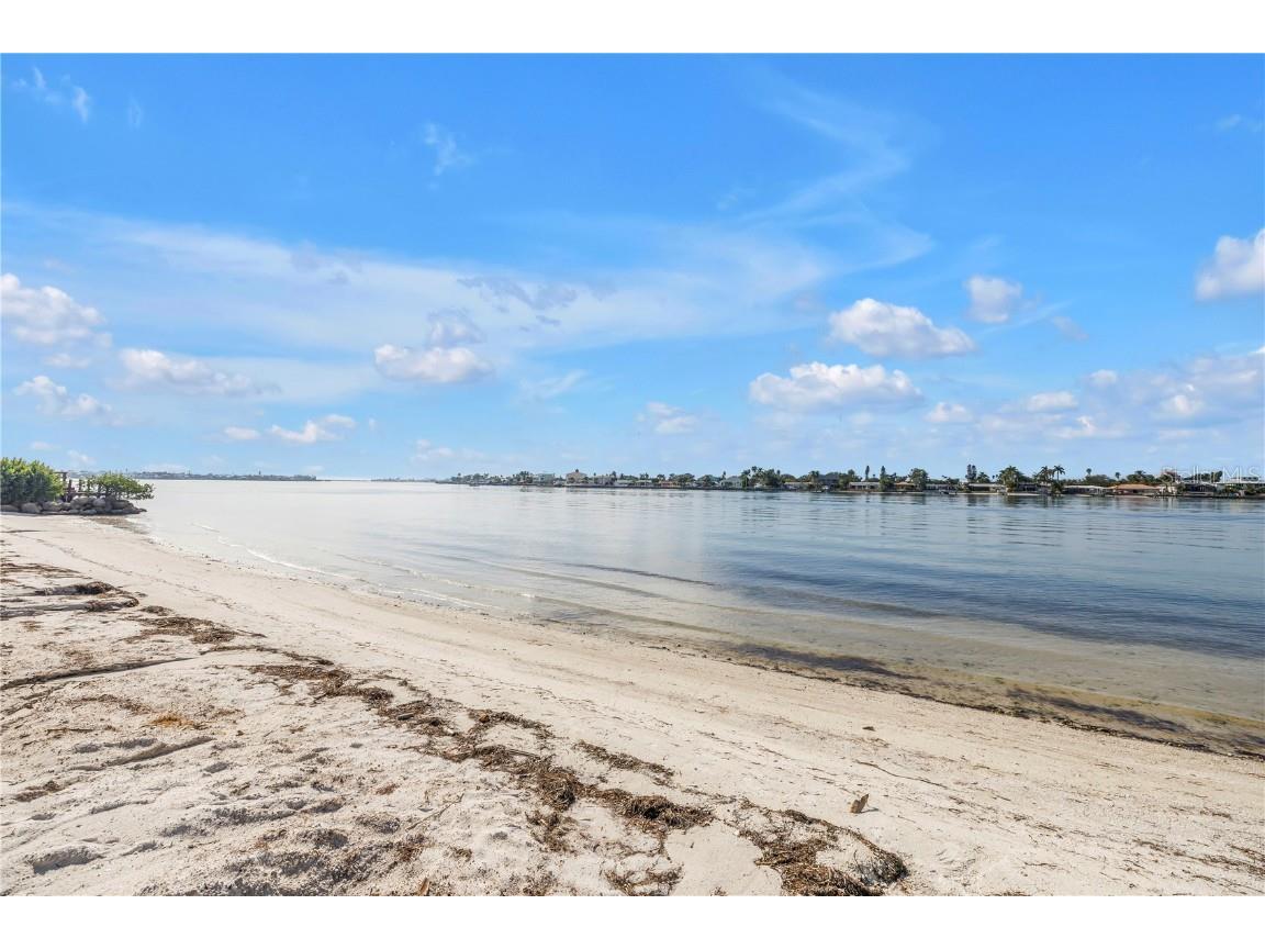 6001 Bahia Del Mar Circle #328 Saint Petersburg FL 33715 - PASS A GRILLE CHANNEL TB8453182 image40