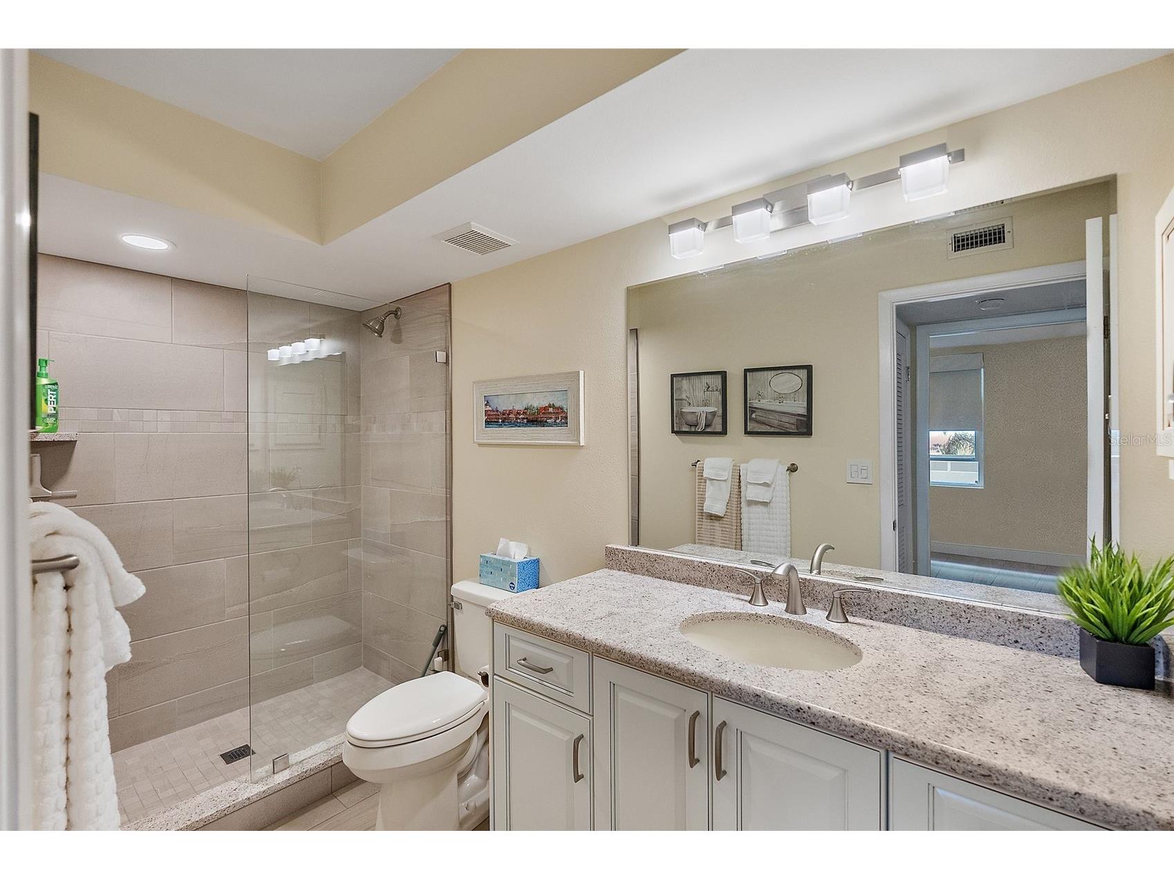 6001 Bahia Del Mar Circle #429 Saint Petersburg FL 33715 - INTRACOASTAL WATERWAY TB8461027 image26