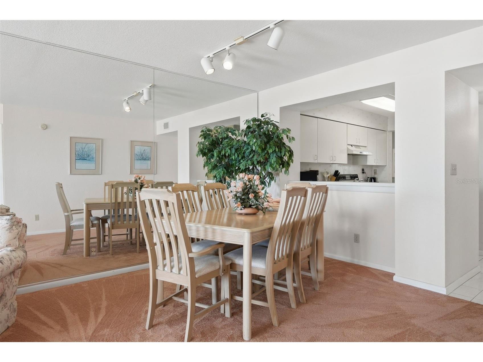 6001 Bahia Del Mar Circle #529 Saint Petersburg FL 33715 - INTRACOASTAL WATERWAY TB8466995 image29