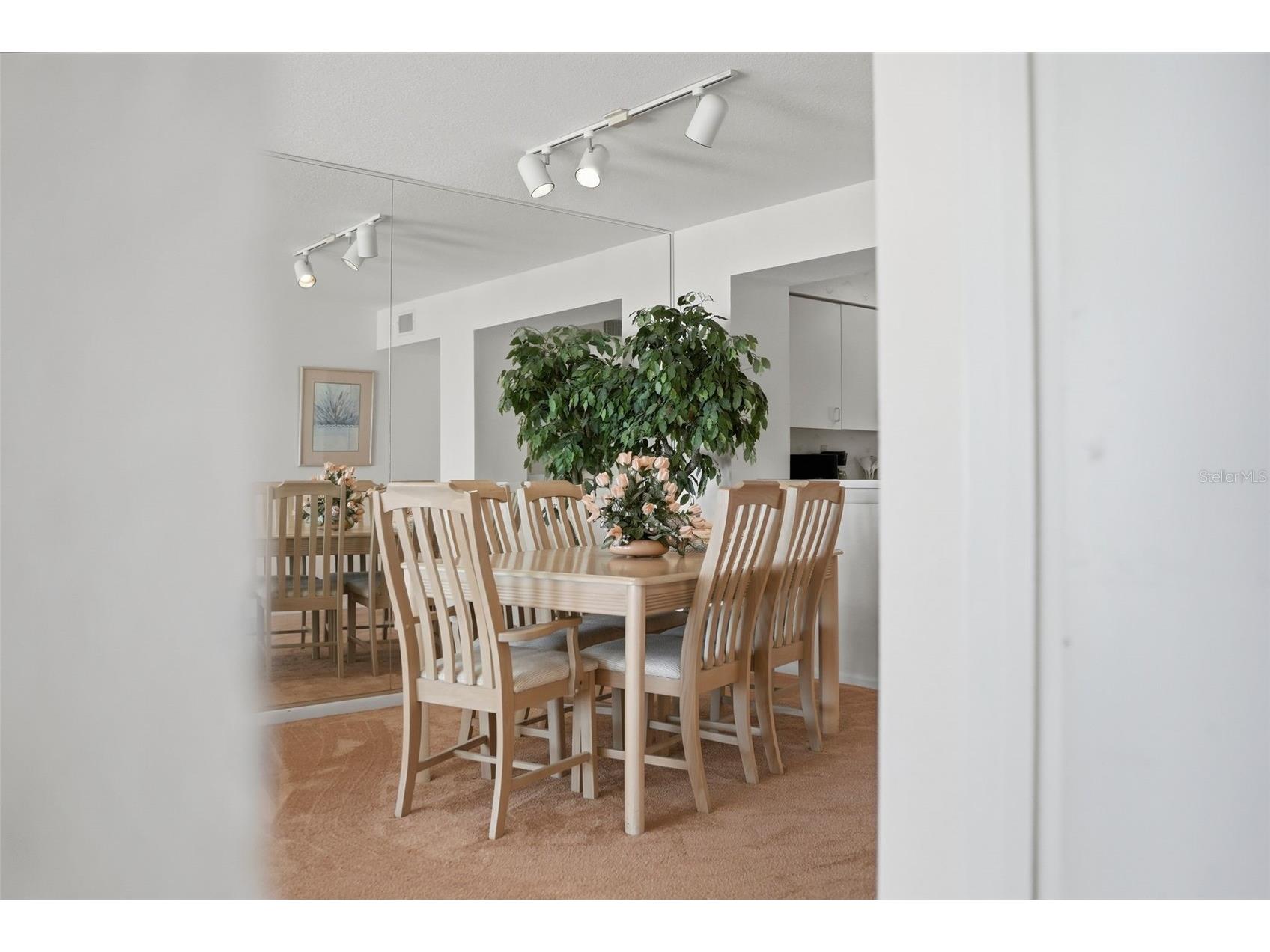 6001 Bahia Del Mar Circle #529 Saint Petersburg FL 33715 - INTRACOASTAL WATERWAY TB8466995 image31