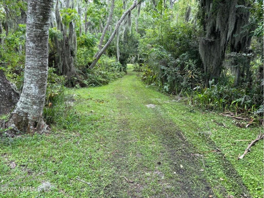 6001 Bird Island Drive Lady Lake FL 32159 G5094242 image30