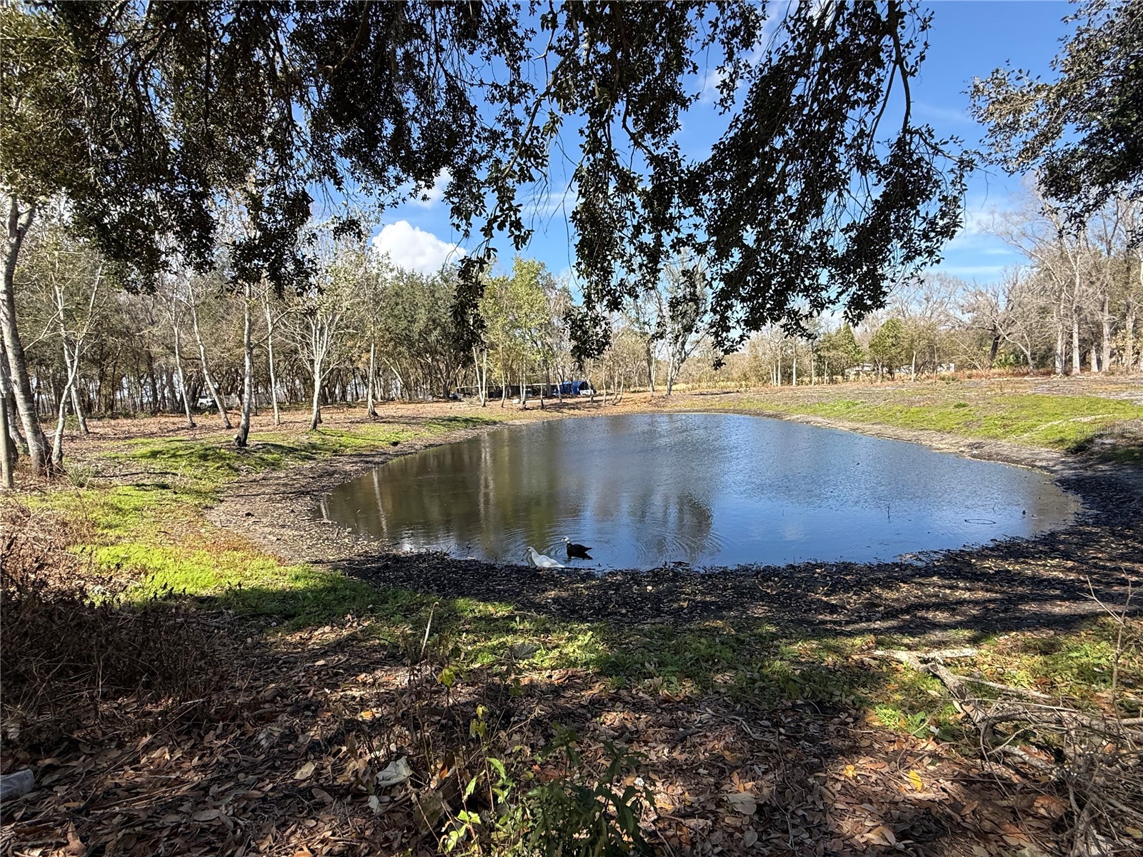 6001 Five Acre Road Plant City FL 33565 TB8477262 image2