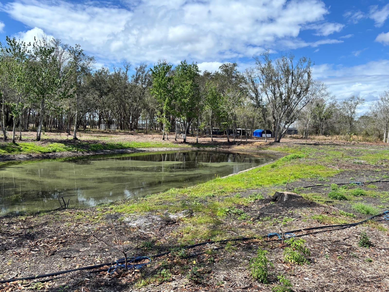 6001 Five Acre Road Plant City FL 33565 TB8477262 image52