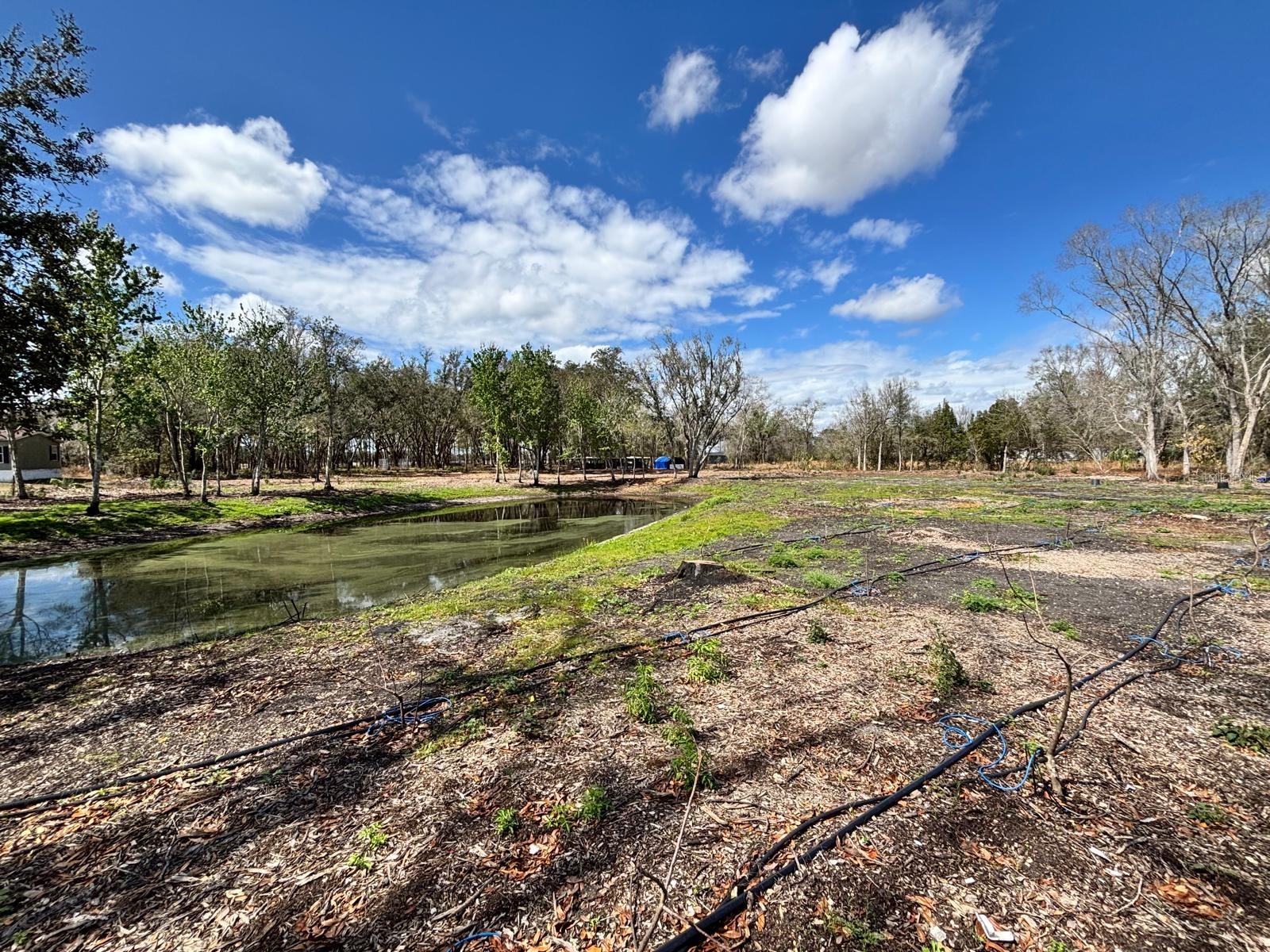 6001 Five Acre Road Plant City FL 33565 TB8477262 image53