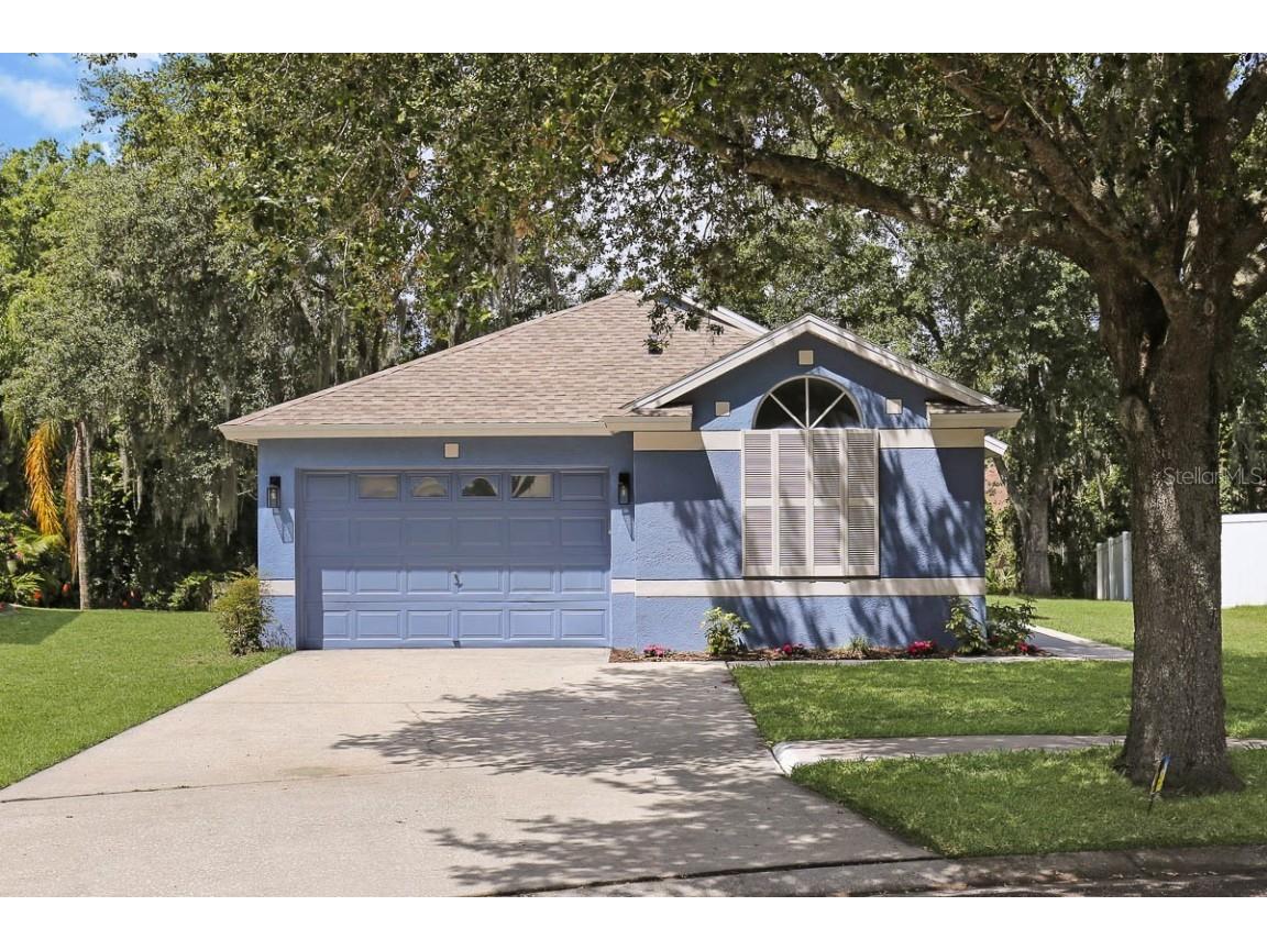 6001 Kiteridge Drive Lithia FL 33547 T3521314 image1