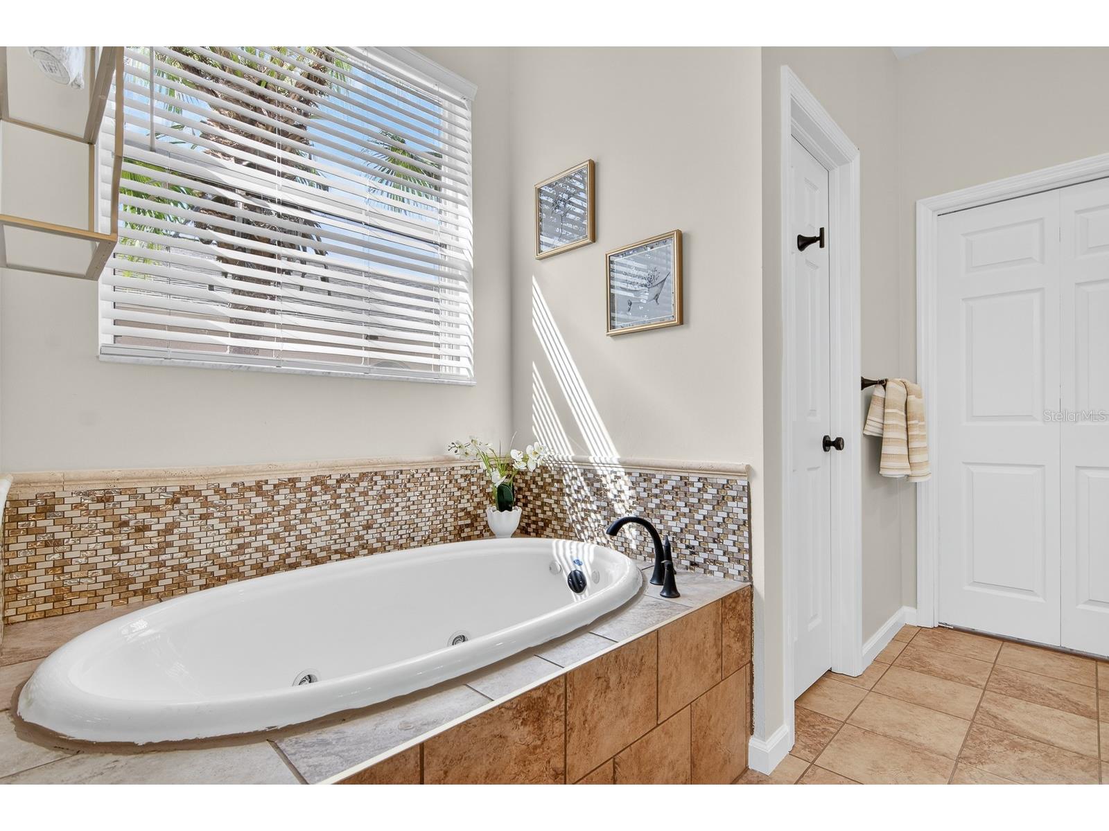 6002 Martinglade Place Lithia FL 33547 TB8485613 image11