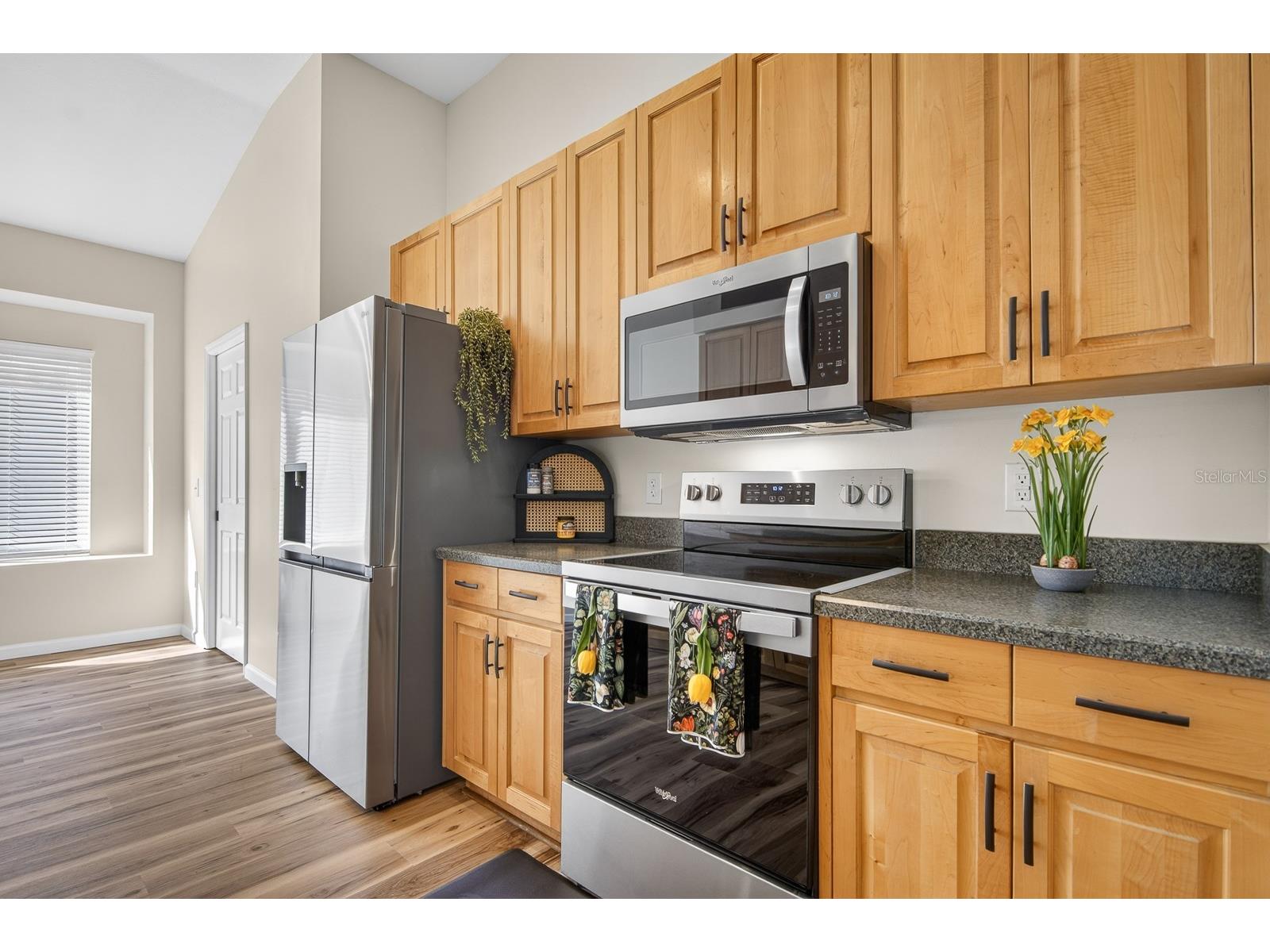 6002 Martinglade Place Lithia FL 33547 TB8485613 image13