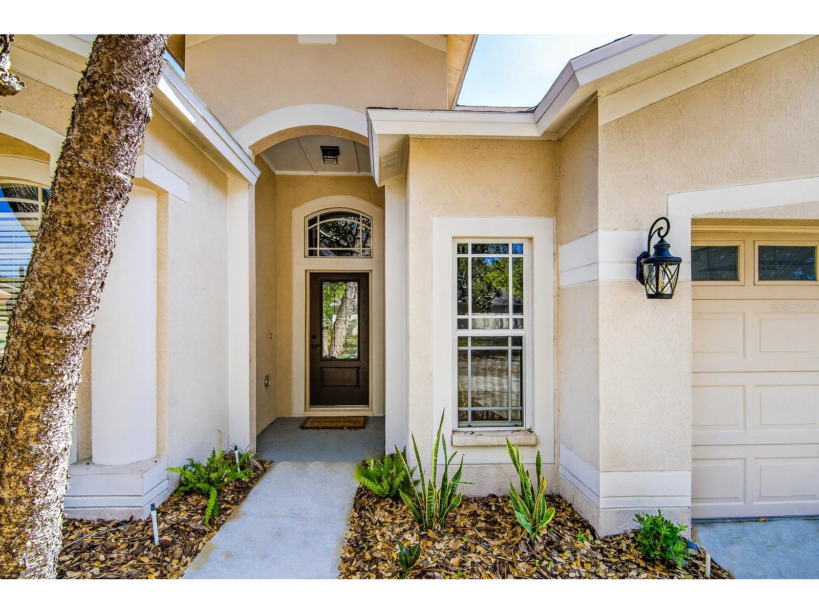 6002 Martinglade Place Lithia FL 33547 TB8485613 image2
