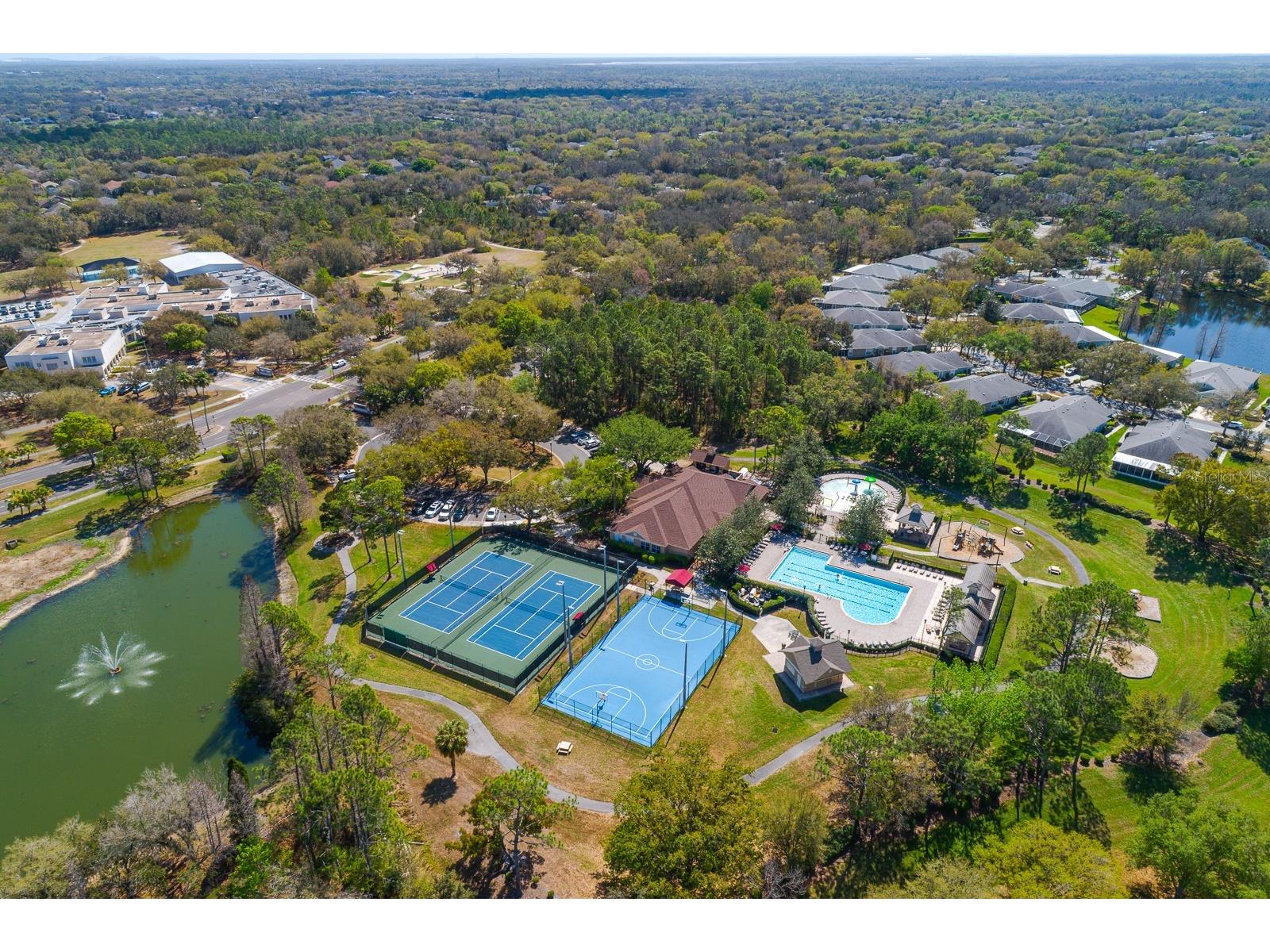 6002 Martinglade Place Lithia FL 33547 TB8485613 image53