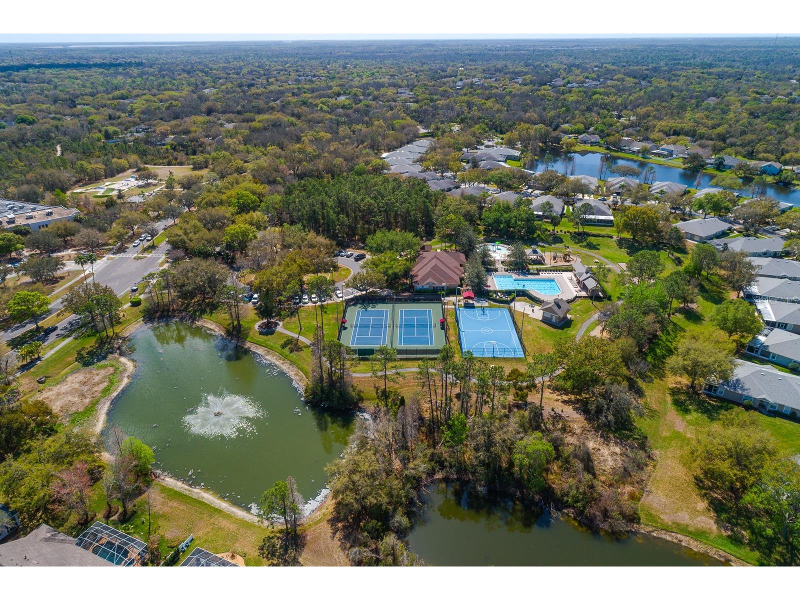 6002 Martinglade Place Lithia FL 33547 TB8485613 image57