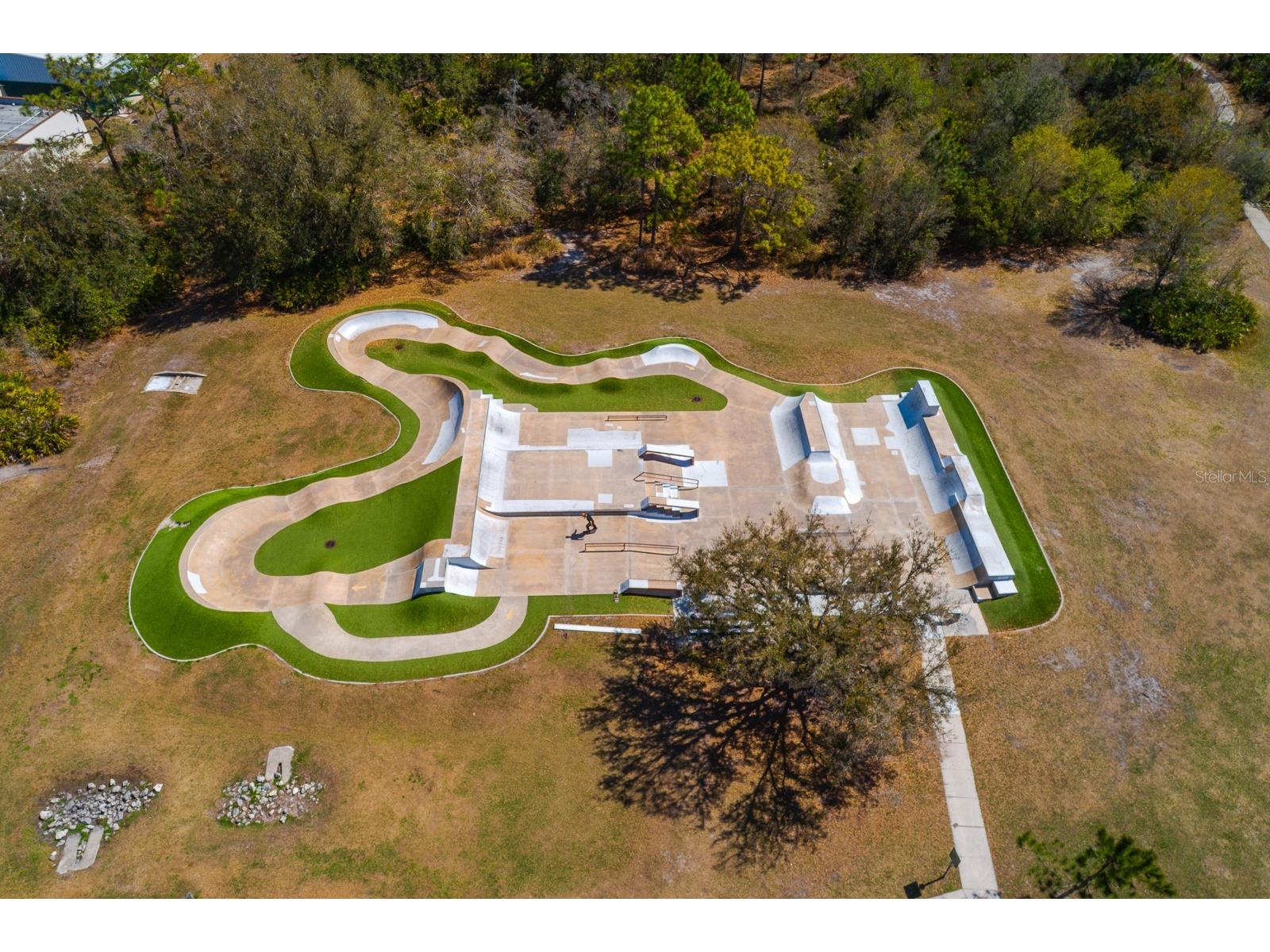 6002 Martinglade Place Lithia FL 33547 TB8485613 image59