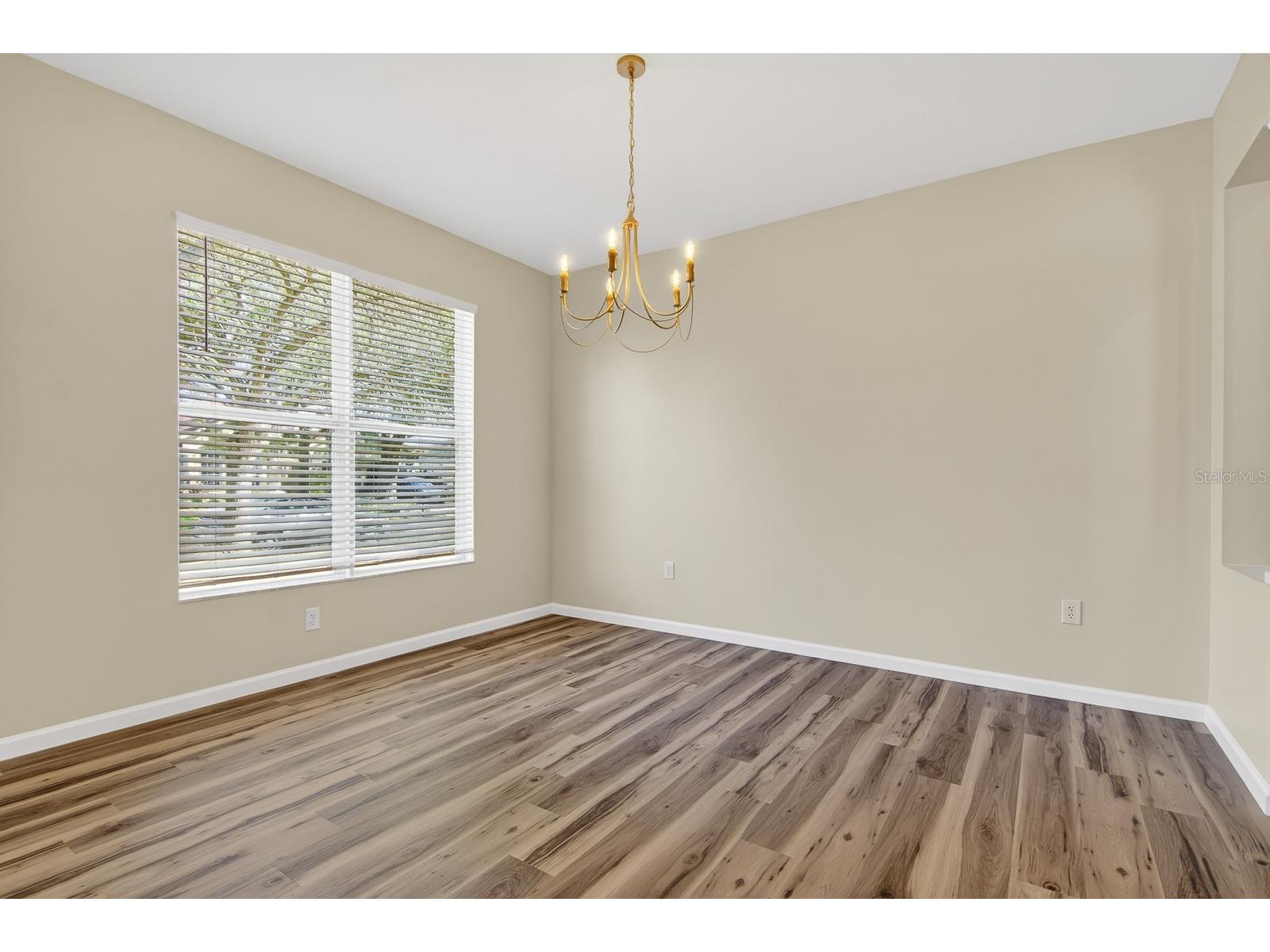 6002 Martinglade Place Lithia FL 33547 TB8485613 image6