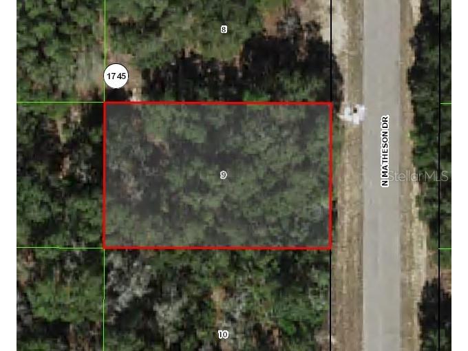 6002 N Matheson Drive Citrus Springs FL 34434 OM696354 image1