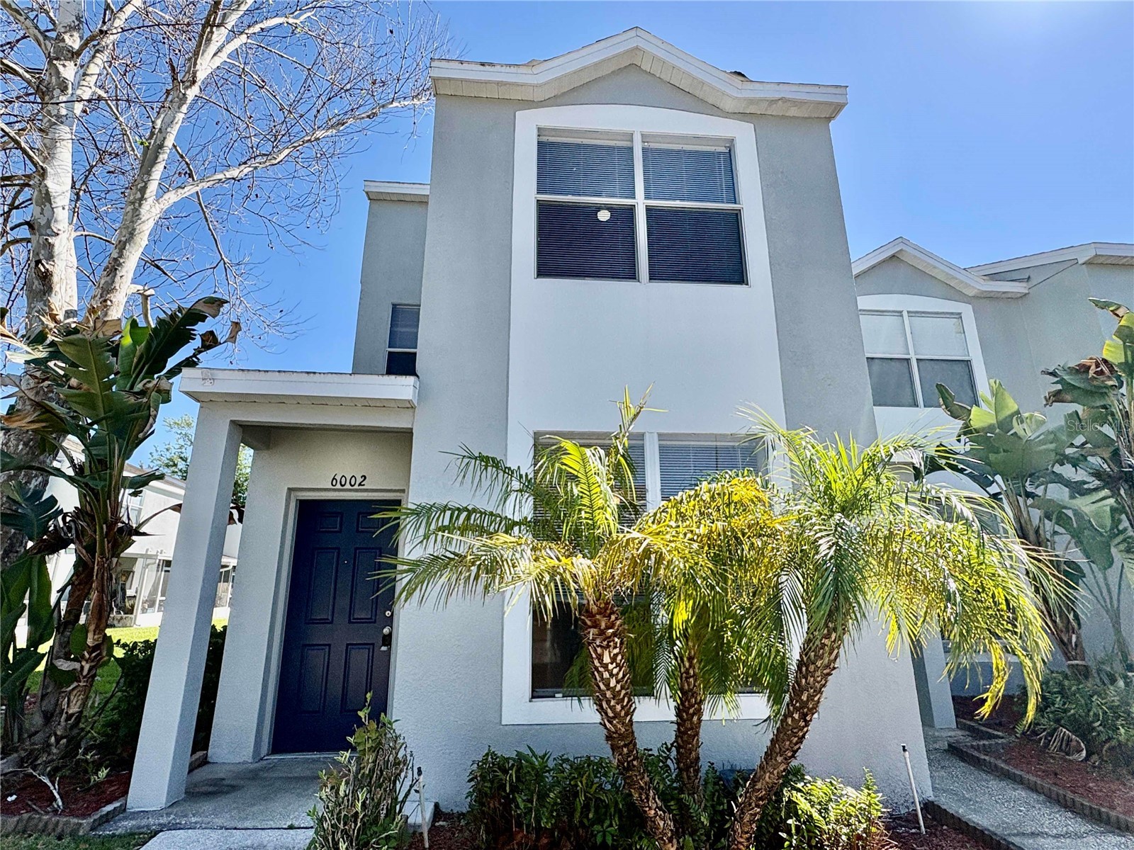 6002 Osprey Lake Circle Riverview FL 33578 TB8493861 image1