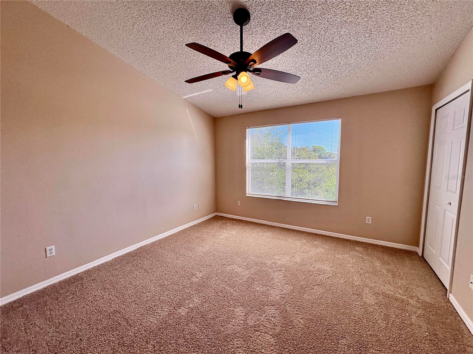 6002 Osprey Lake Circle Riverview FL 33578 TB8493861 image10