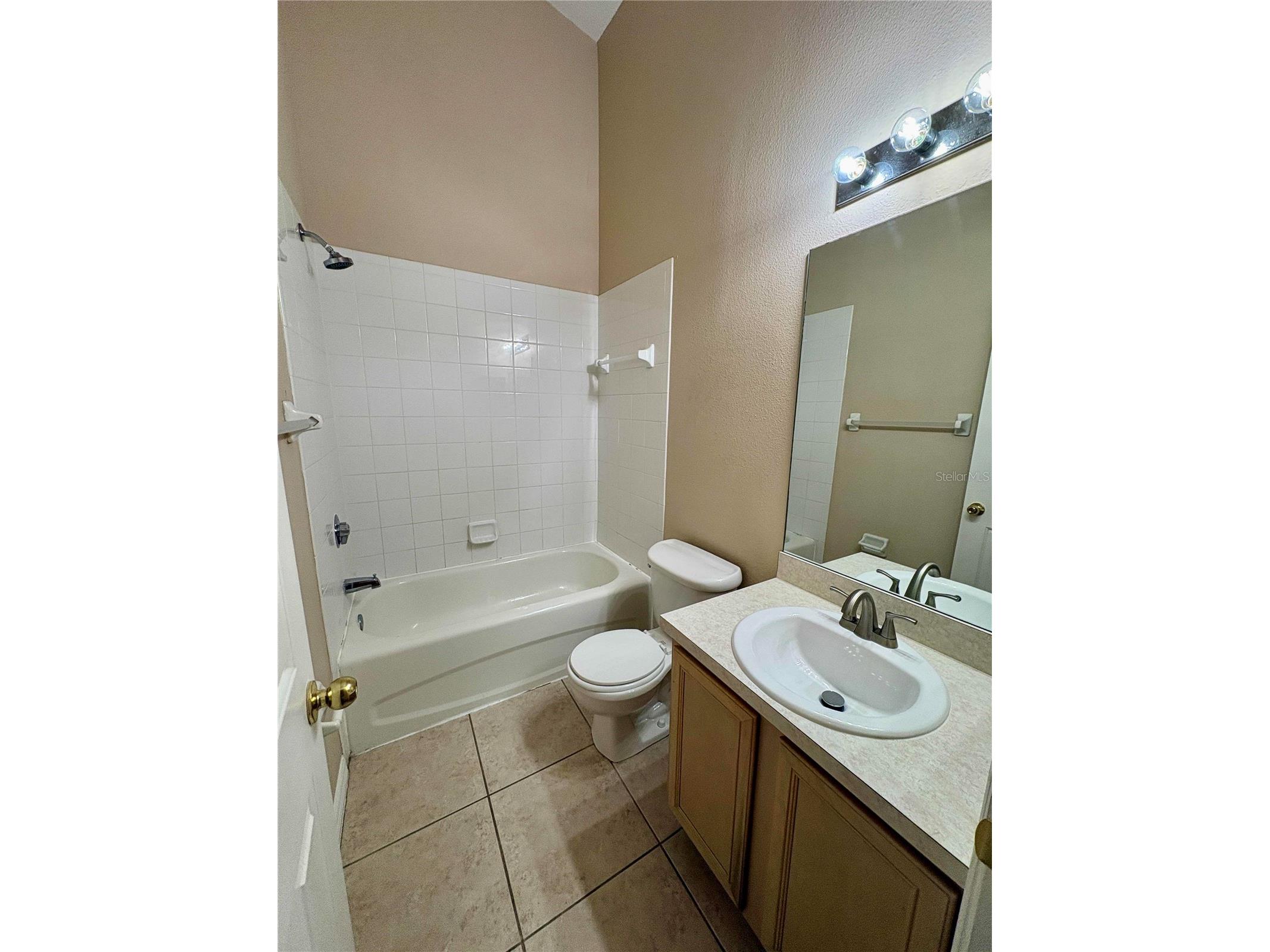 6002 Osprey Lake Circle Riverview FL 33578 TB8493861 image11