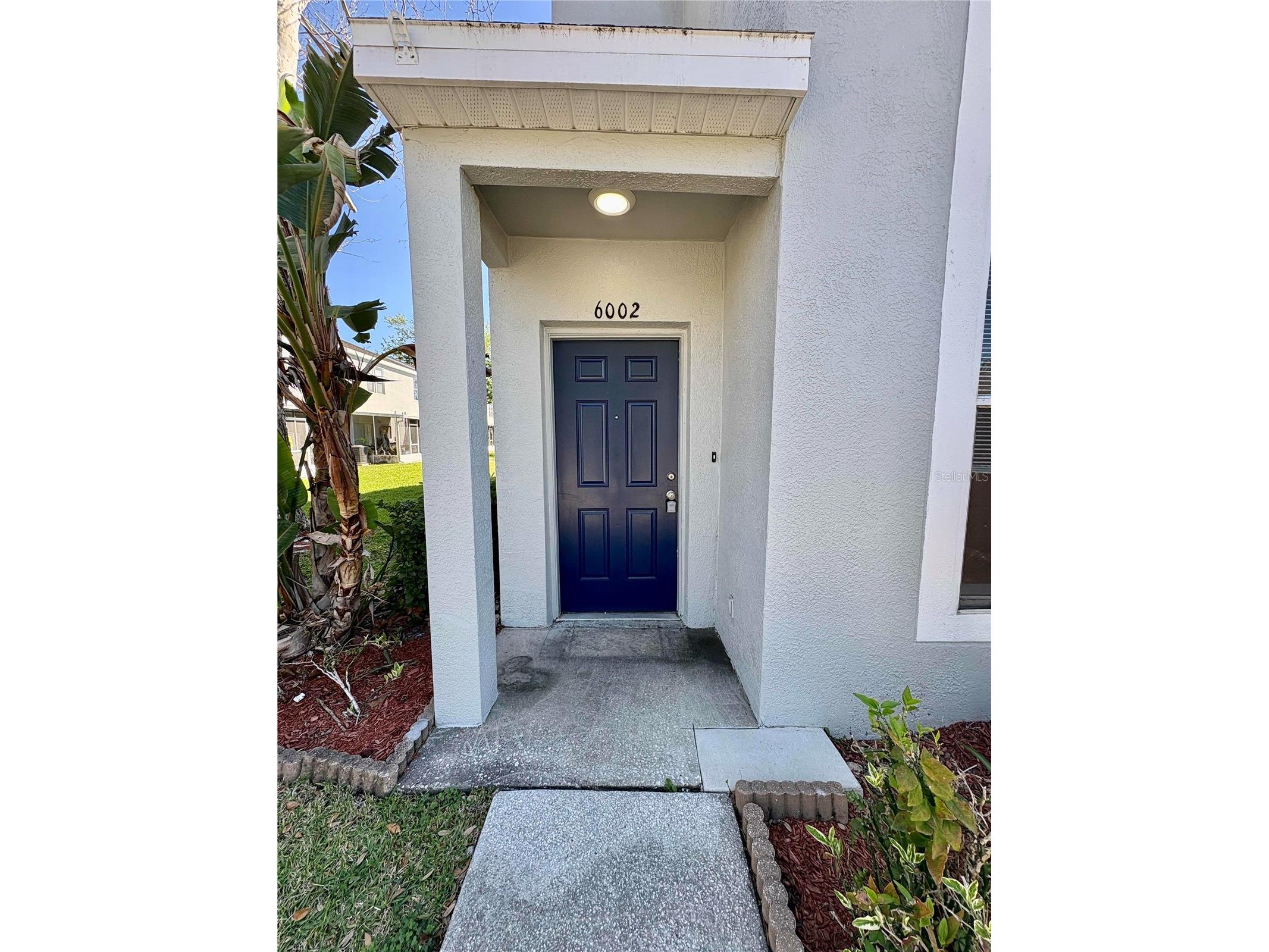 6002 Osprey Lake Circle Riverview FL 33578 TB8493861 image2
