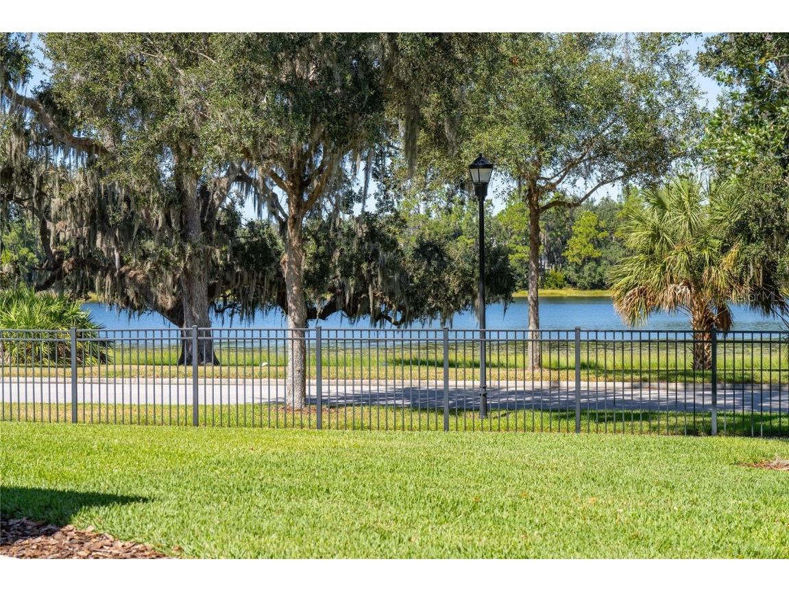 6002 Sparrowhead Way Lithia FL 33547 TB8444862 image55
