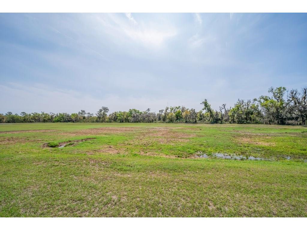 6002 Watercolor Drive Lithia FL 33547 TB8487432 image43