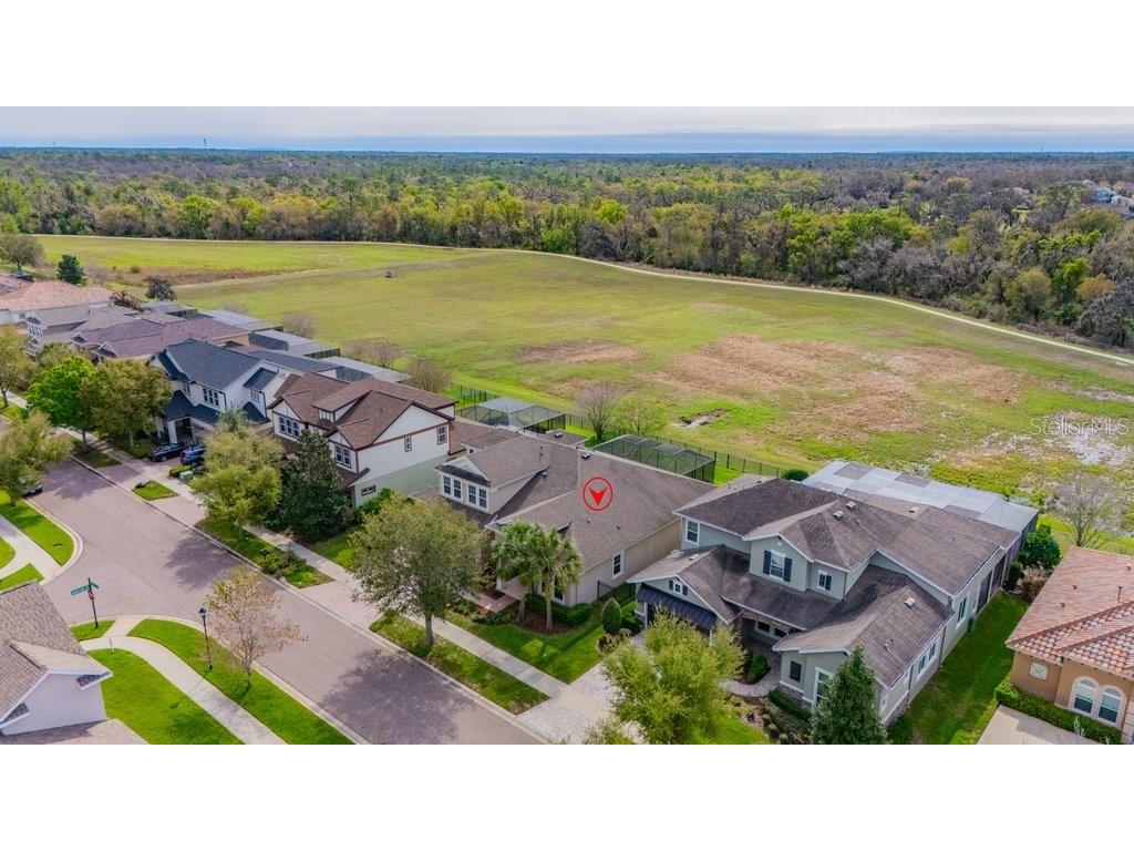 6002 Watercolor Drive Lithia FL 33547 TB8487432 image46