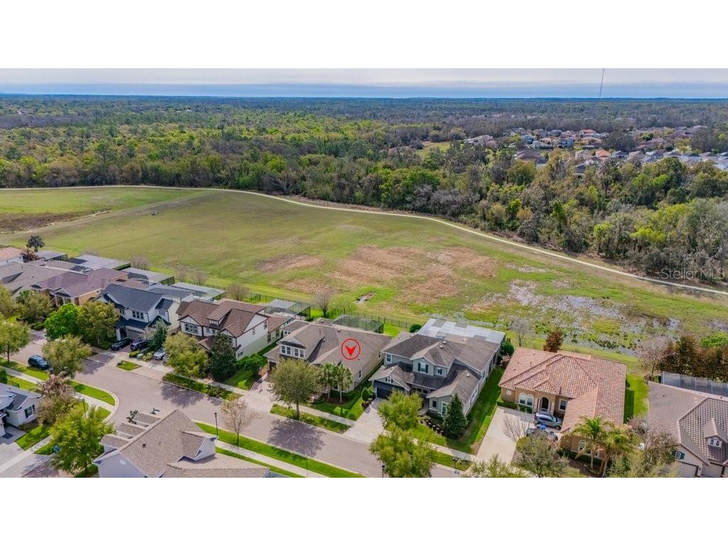 6002 Watercolor Drive Lithia FL 33547 TB8487432 image47