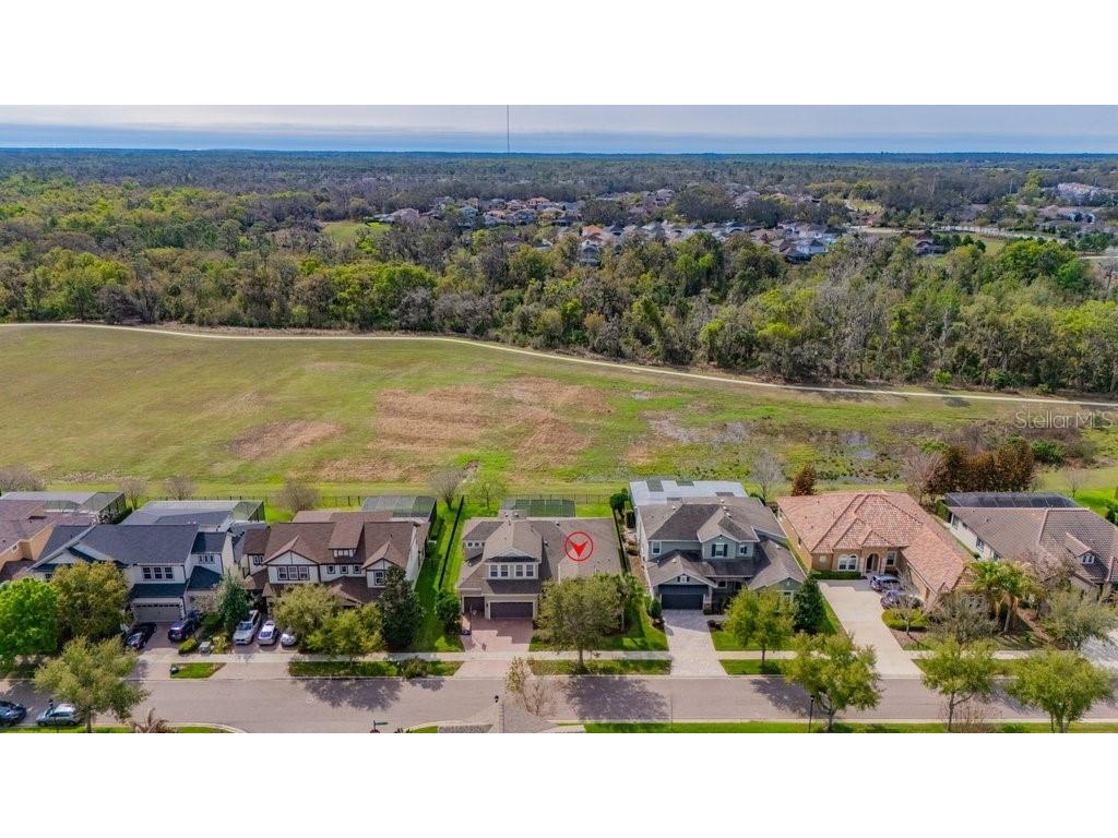 6002 Watercolor Drive Lithia FL 33547 TB8487432 image48