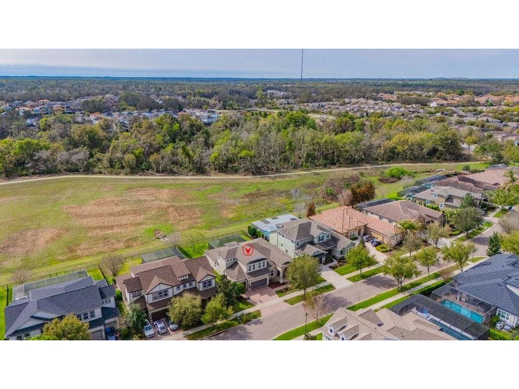 6002 Watercolor Drive Lithia FL 33547 TB8487432 image49