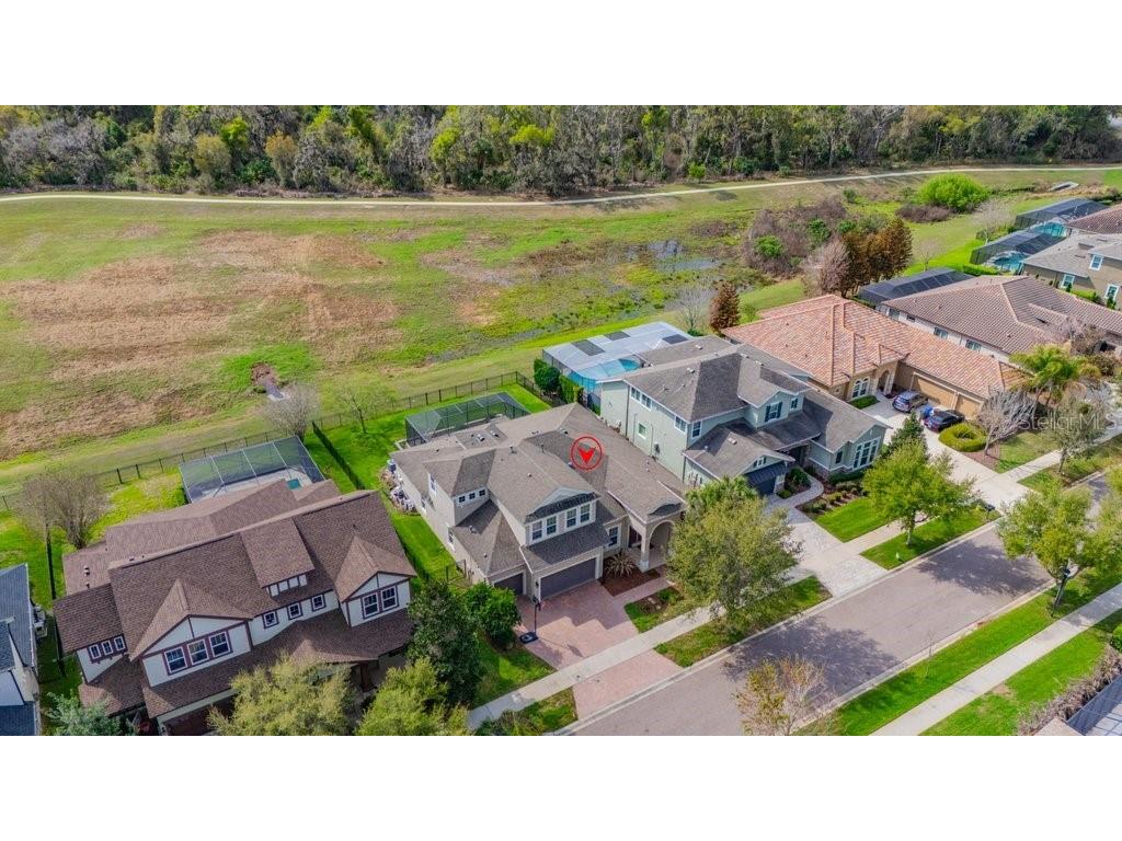 6002 Watercolor Drive Lithia FL 33547 TB8487432 image50