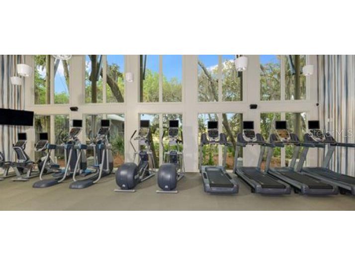 6002 Watercolor Drive Lithia FL 33547 TB8487432 image62