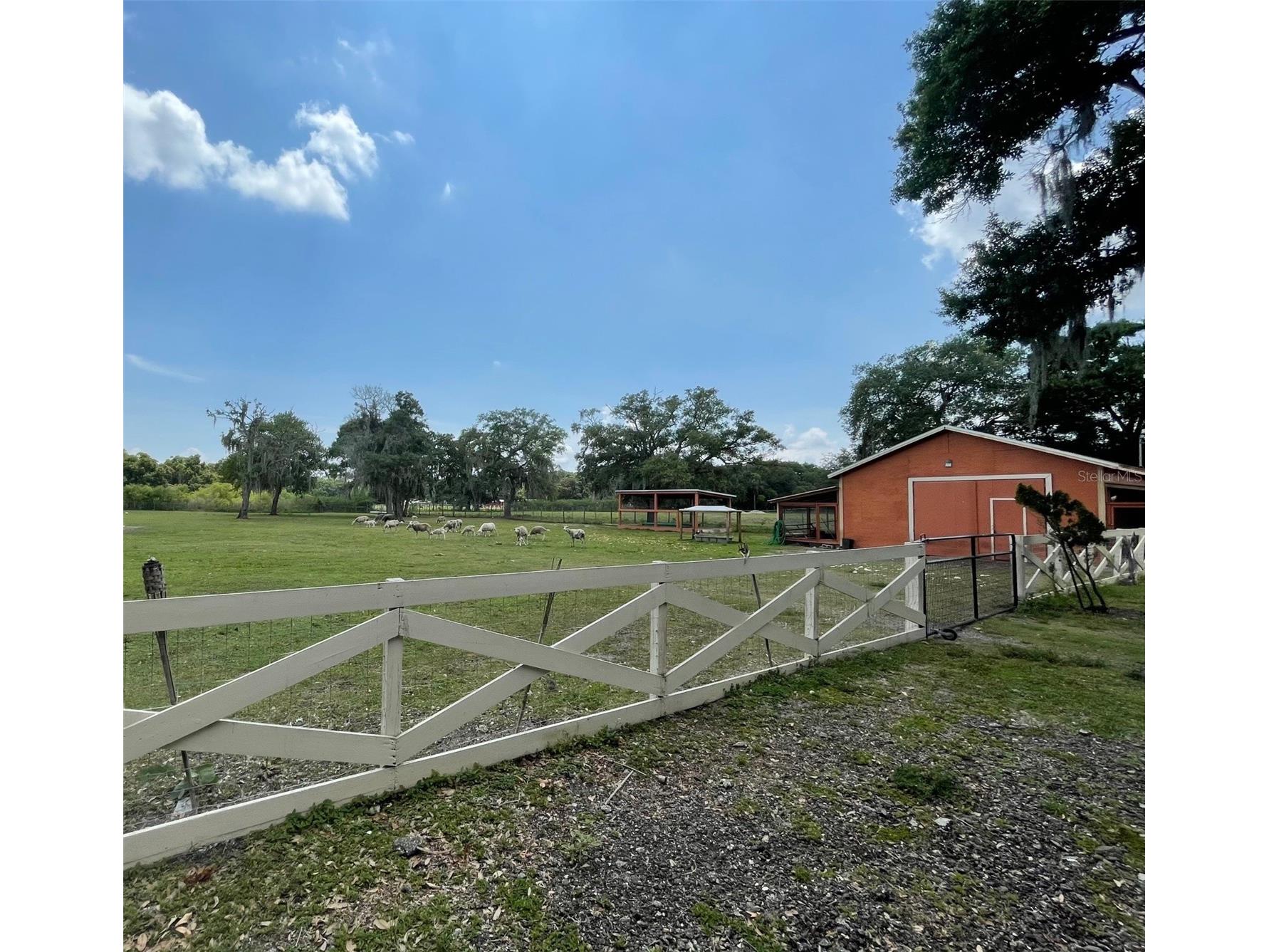 6003 16th Avenue S Tampa FL 33619 TB8440571 image37