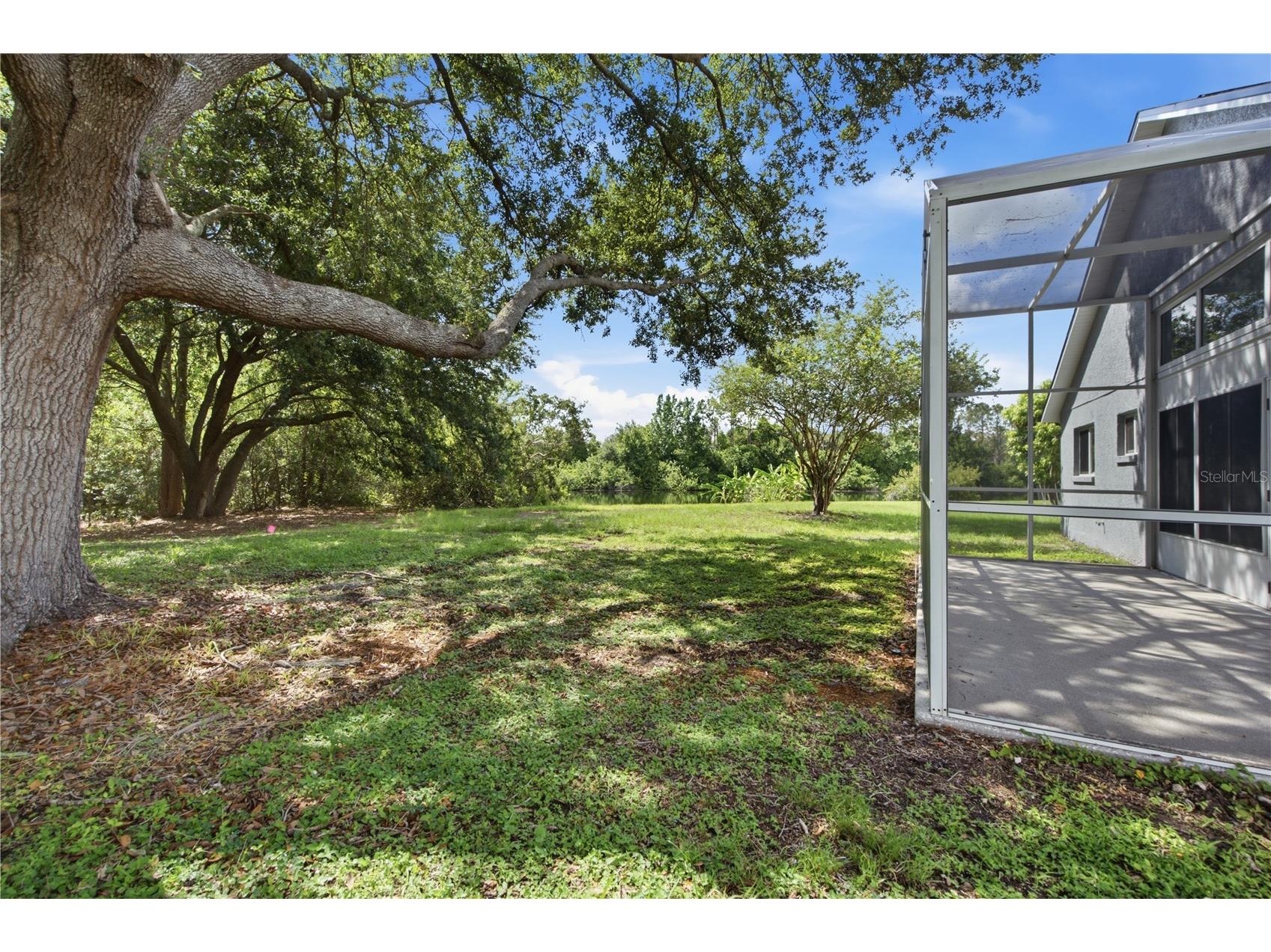 6003 Chellas Court Lutz FL 33558 TB8519527 image35