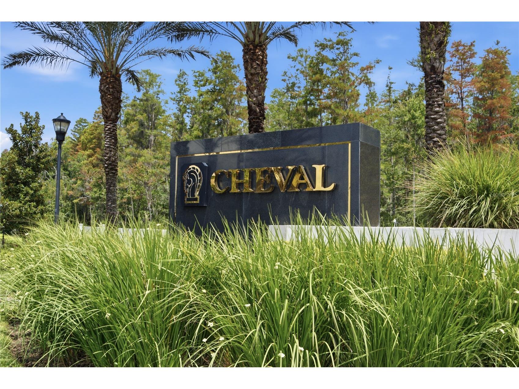 6003 Chellas Court Lutz FL 33558 TB8519527 image39