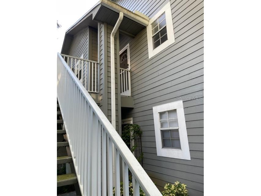 6003 Laketree Lane #P Temple Terrace FL 33617 T3477688 image1