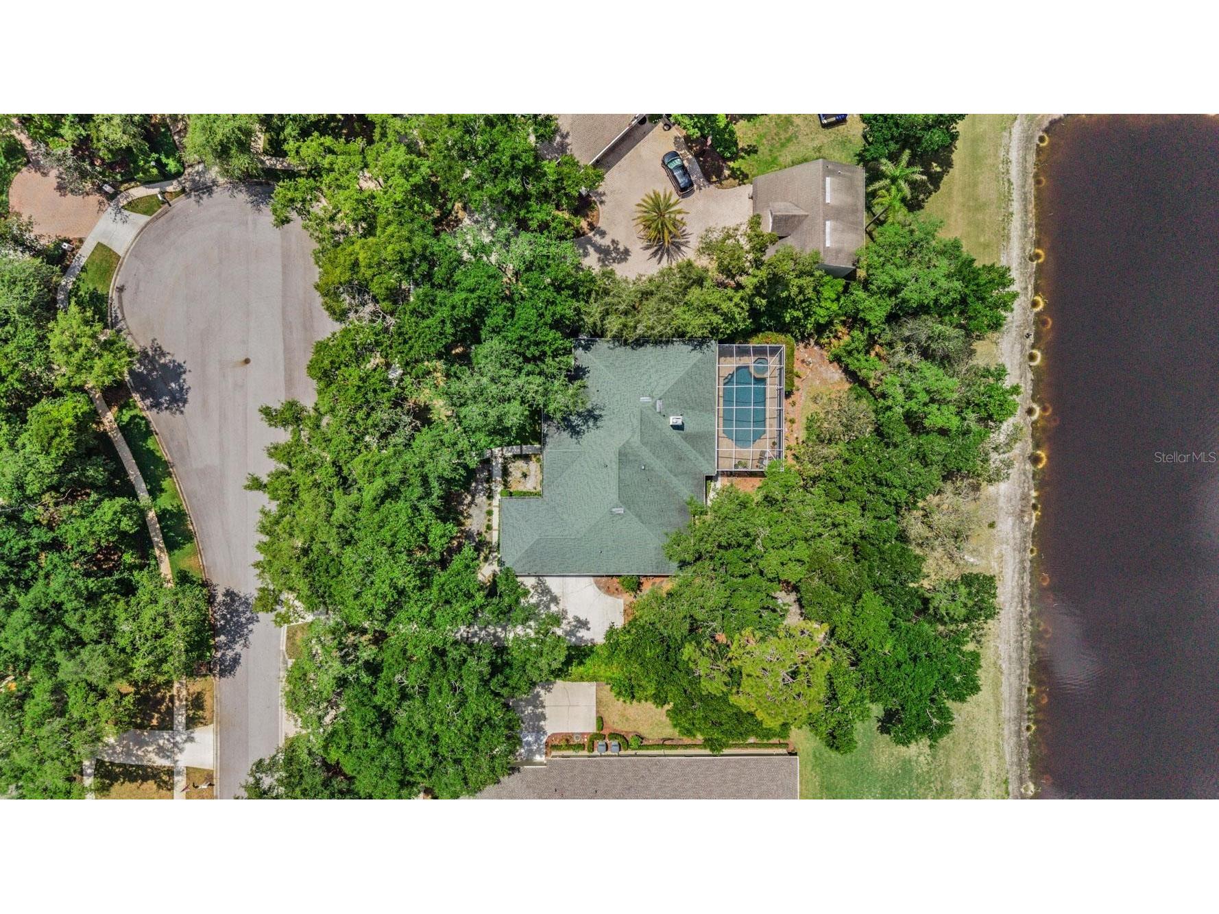 6004 Hammock Hill Avenue Lithia FL 33547 TB8502592 image54