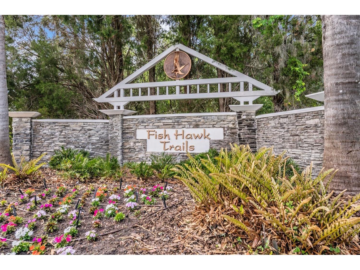 6004 Hammock Hill Avenue Lithia FL 33547 TB8502592 image56