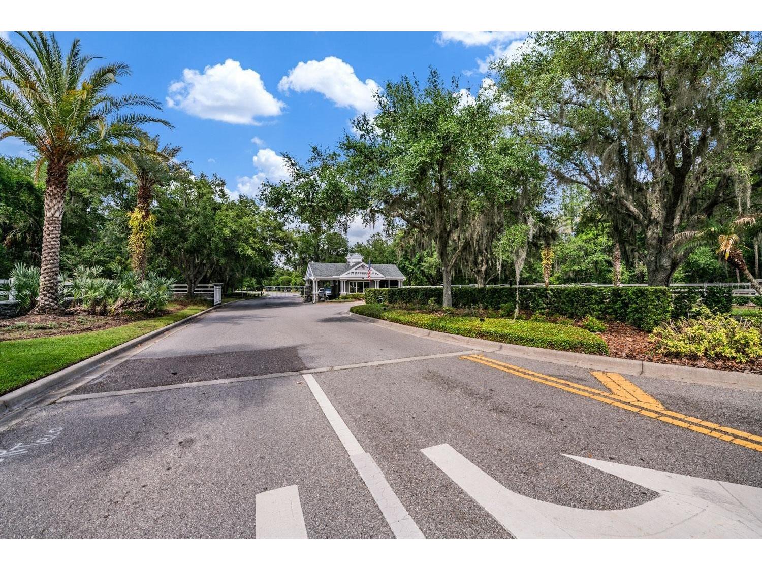 6004 Hammock Hill Avenue Lithia FL 33547 TB8502592 image57