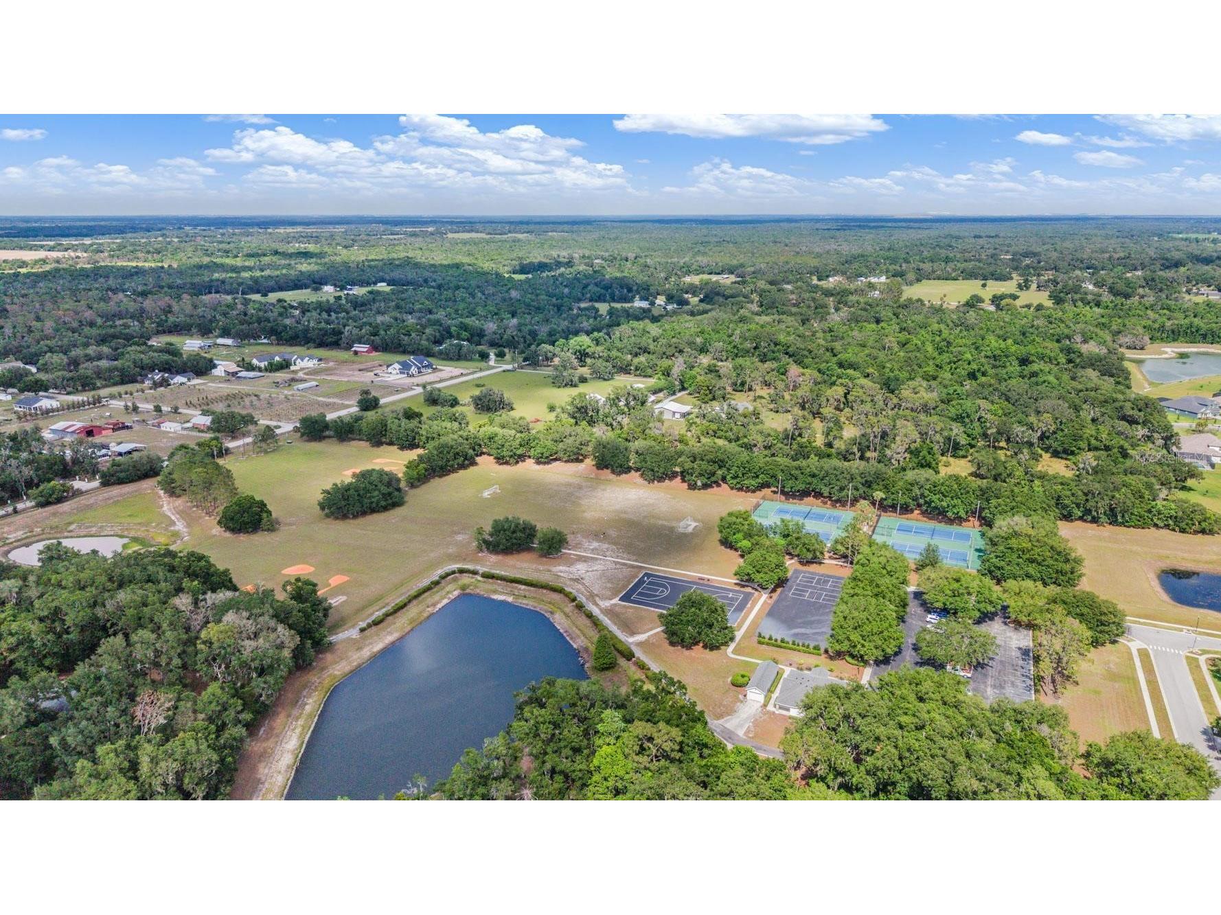6004 Hammock Hill Avenue Lithia FL 33547 TB8502592 image58