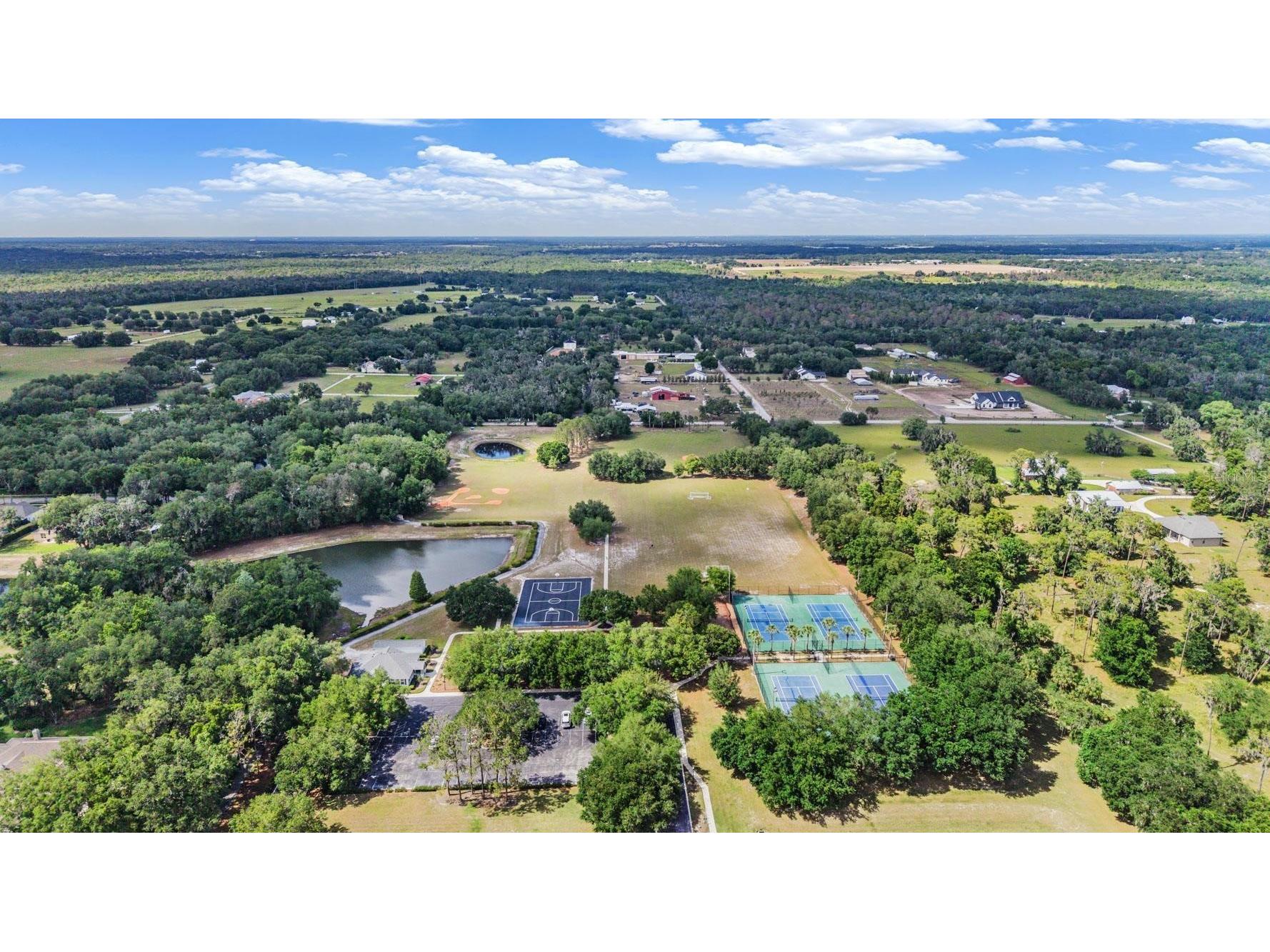 6004 Hammock Hill Avenue Lithia FL 33547 TB8502592 image59