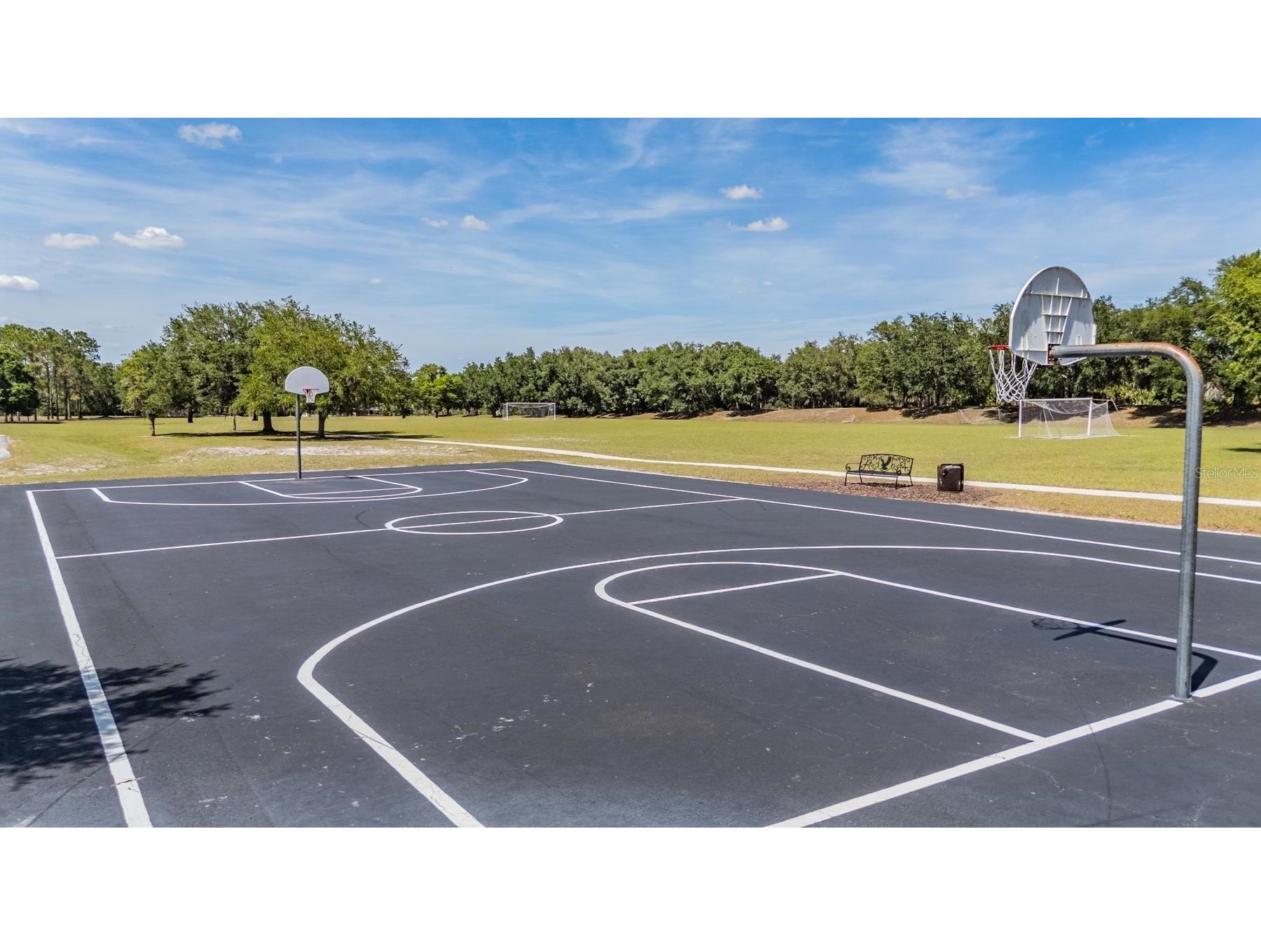 6004 Hammock Hill Avenue Lithia FL 33547 TB8502592 image60