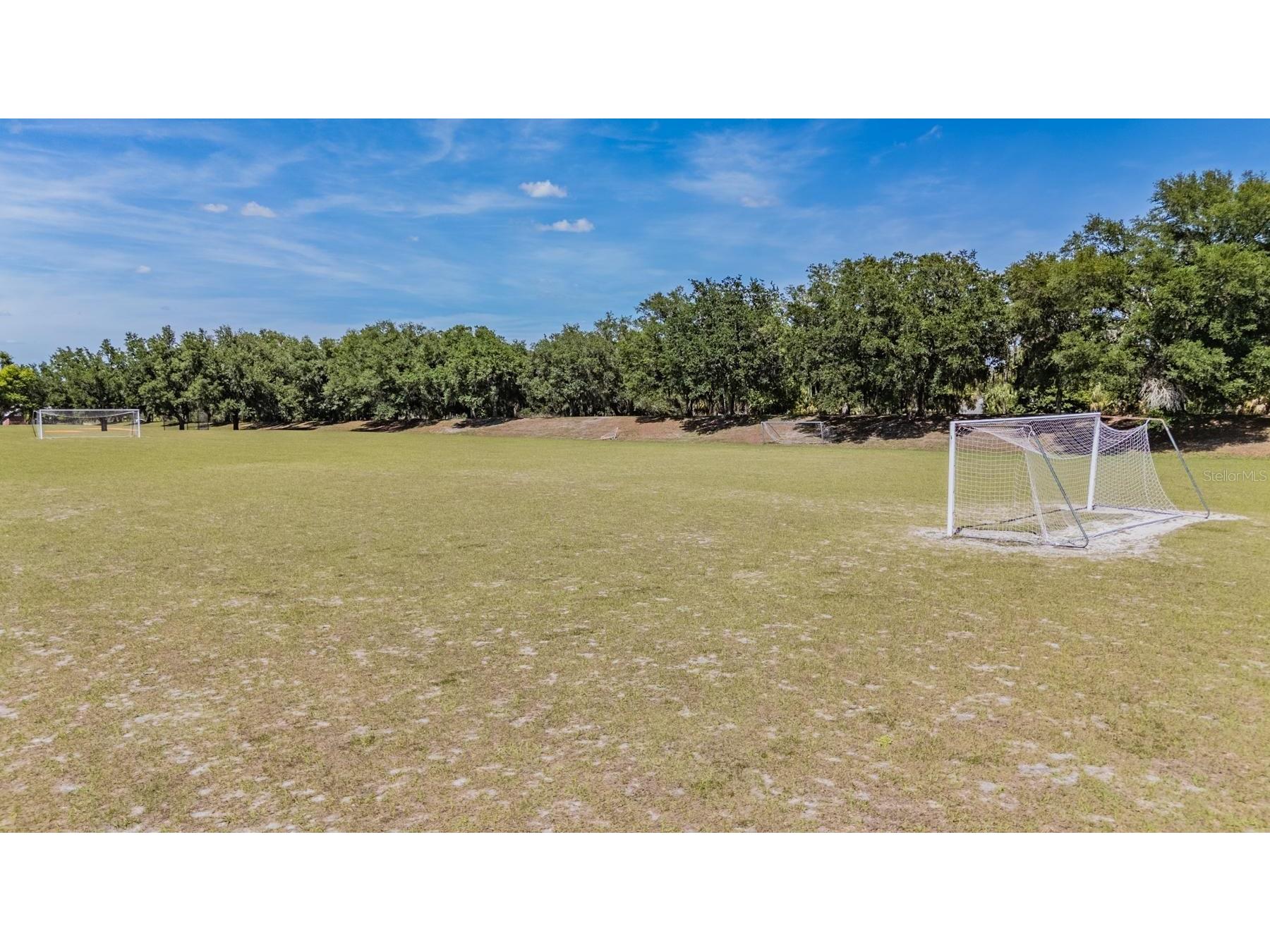 6004 Hammock Hill Avenue Lithia FL 33547 TB8502592 image61