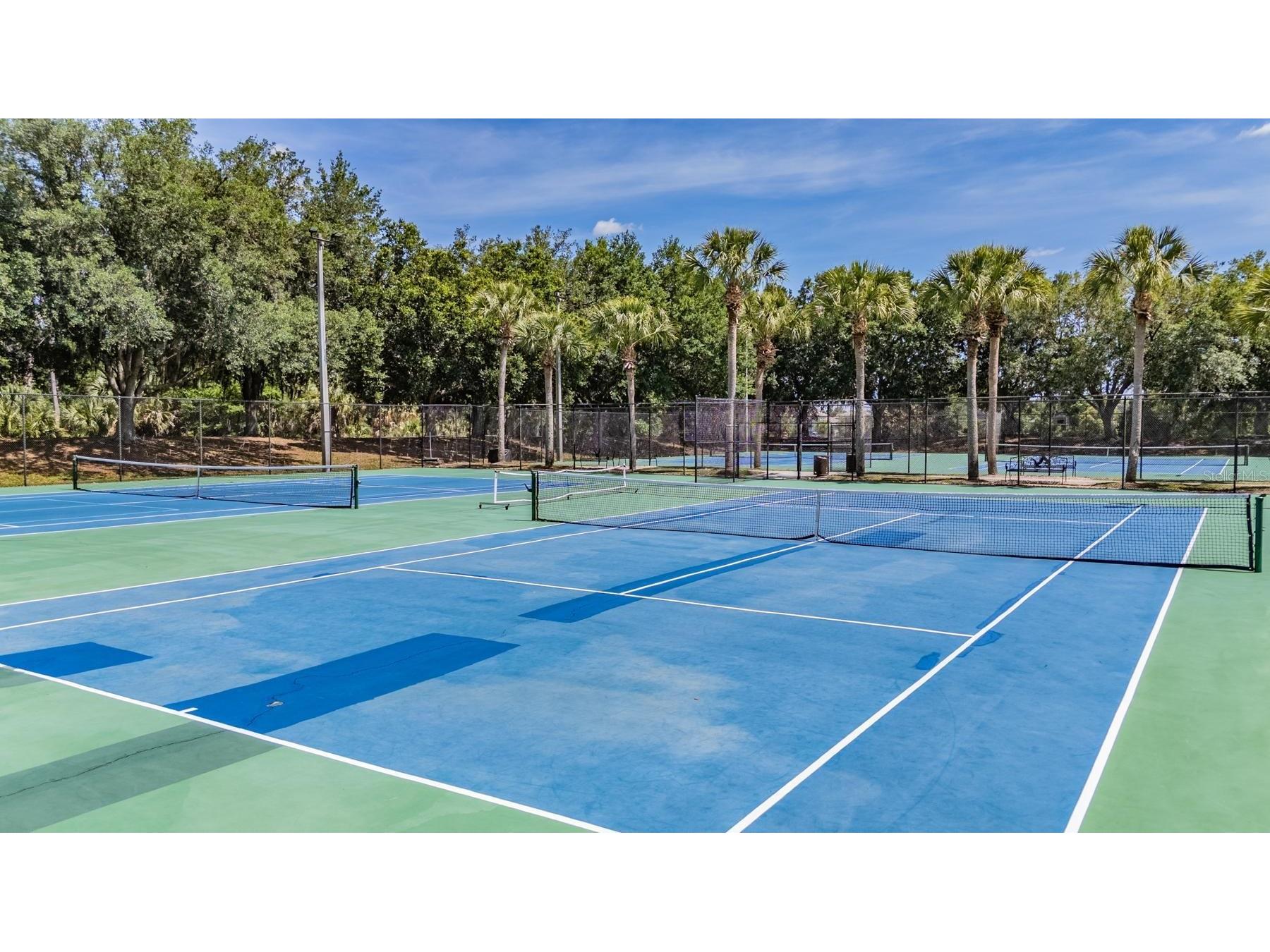 6004 Hammock Hill Avenue Lithia FL 33547 TB8502592 image64