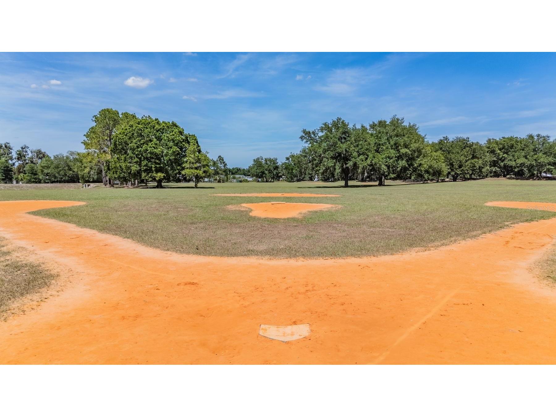 6004 Hammock Hill Avenue Lithia FL 33547 TB8502592 image67