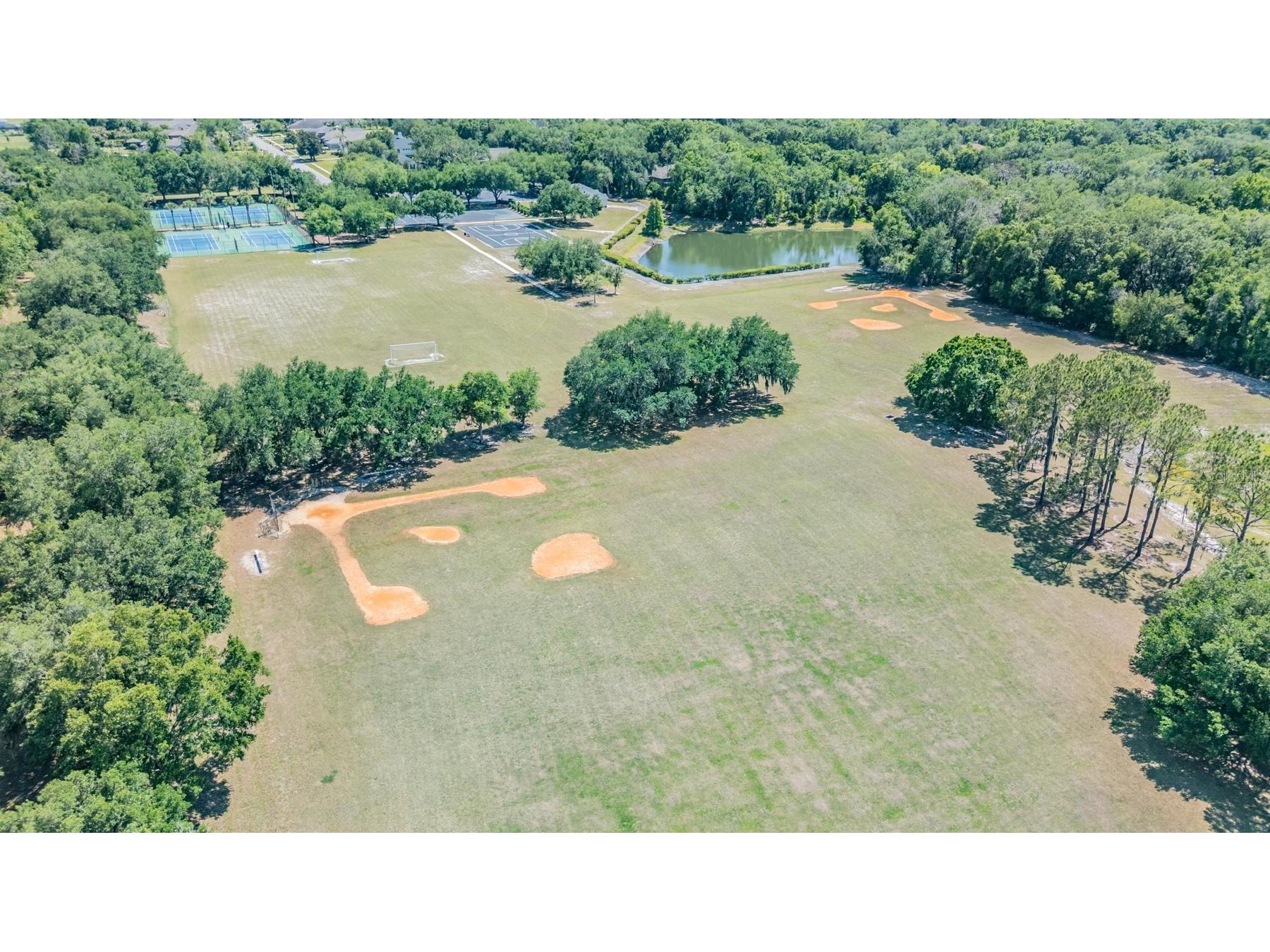6004 Hammock Hill Avenue Lithia FL 33547 TB8502592 image68